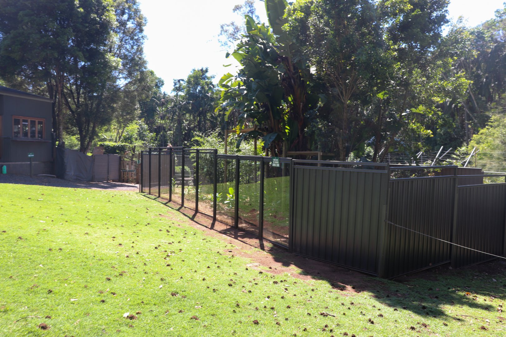 Future Goodfellow's Tree Kangaroo Enclosure