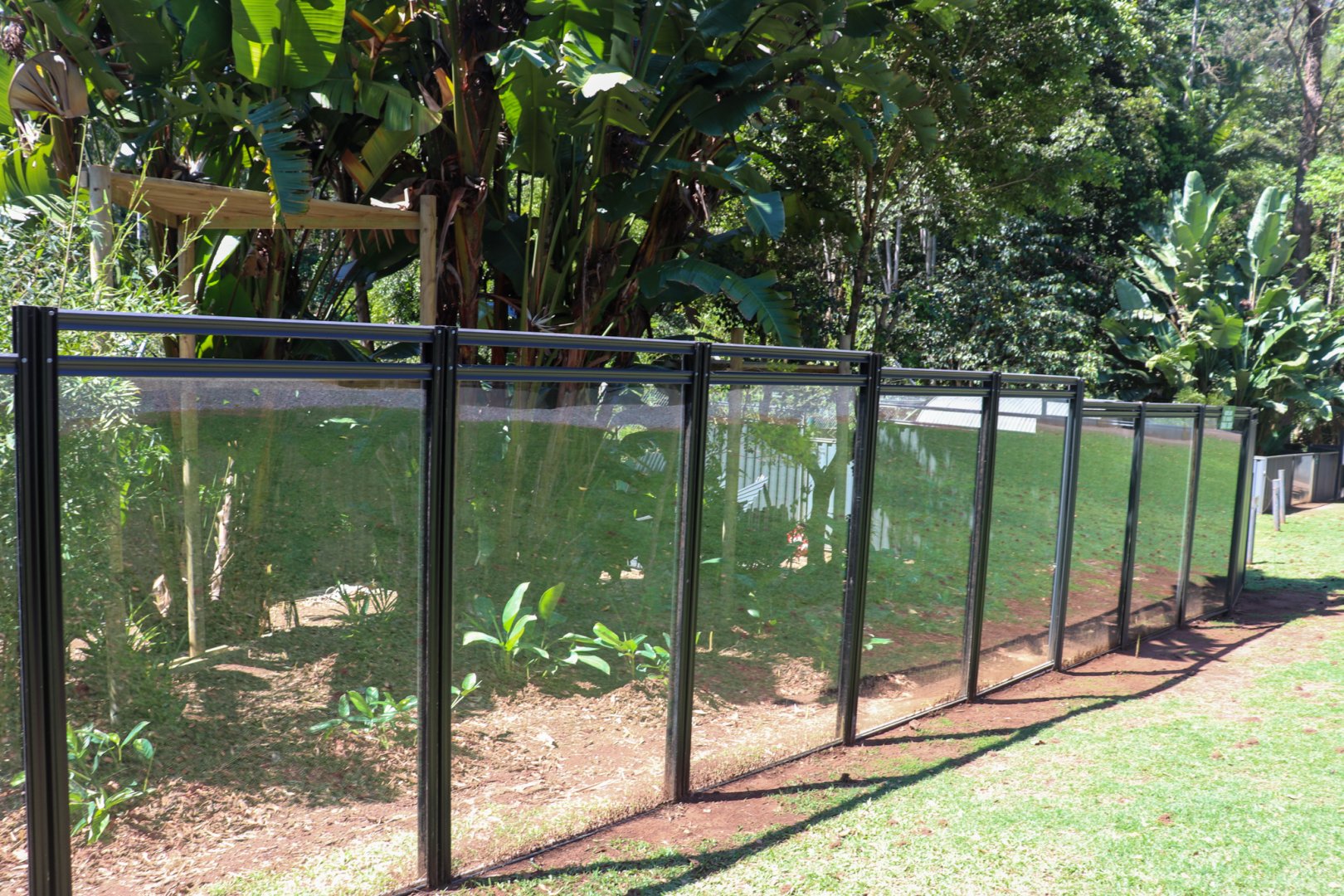 Future Goodfellow's Tree Kangaroo Enclosure