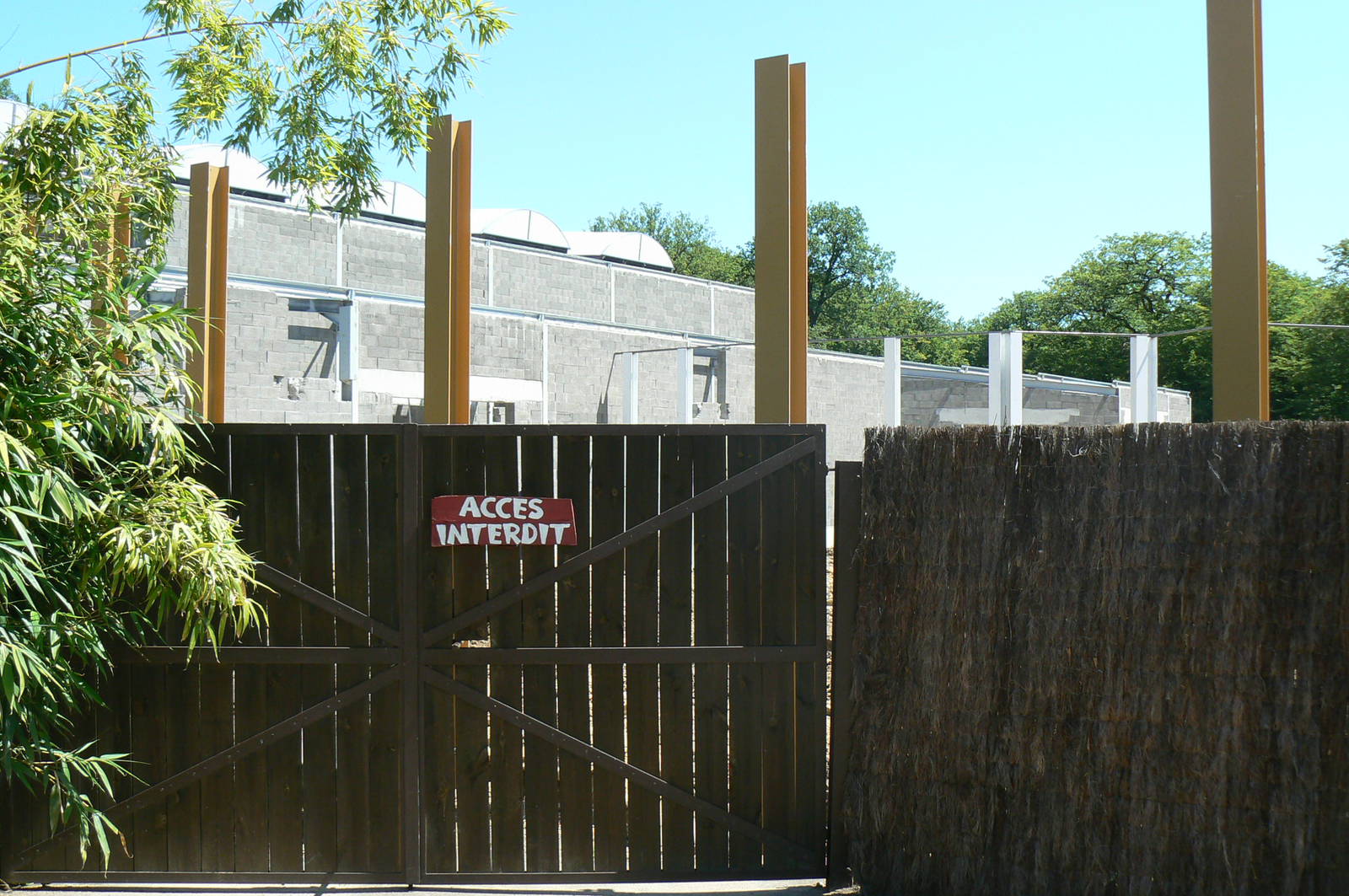 Future gorillas exhibit (2012)