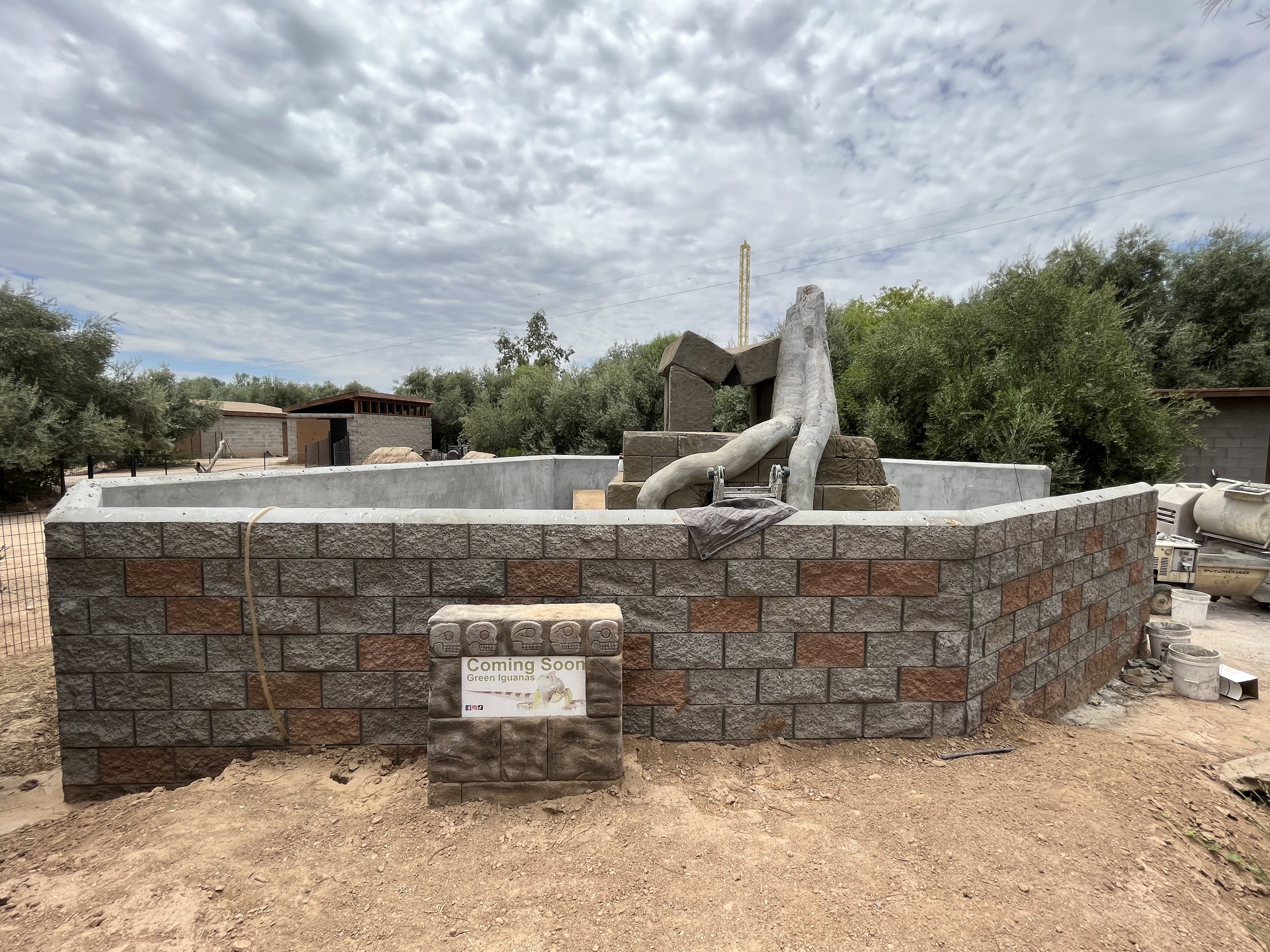 Future Green Iguana Exhibit