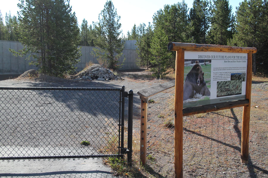 future grizzly bear expansion