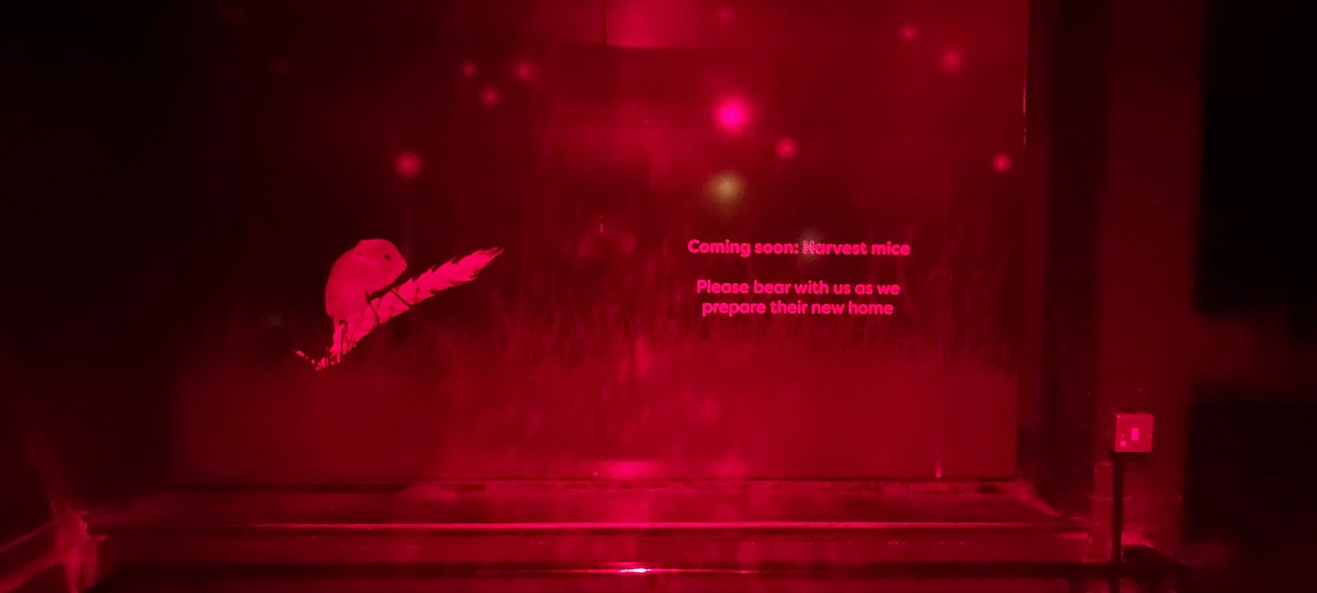 Future Harvest Mouse exhibit signage