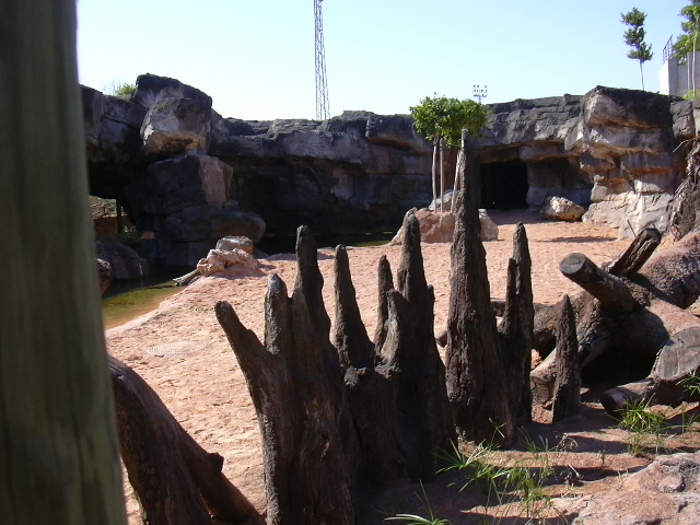 Future hippopotamus exhibit