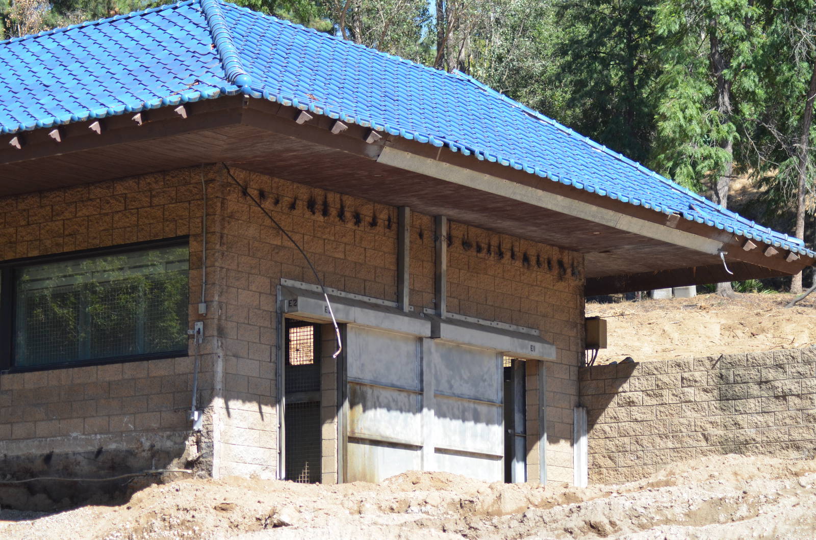 Future Holding Area of Rainforest of the Americas