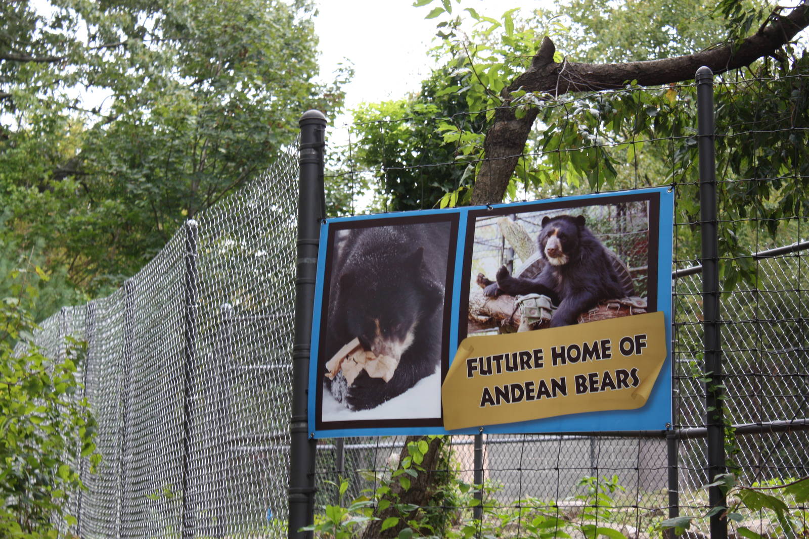 Future Home of Andean Bears Signage
