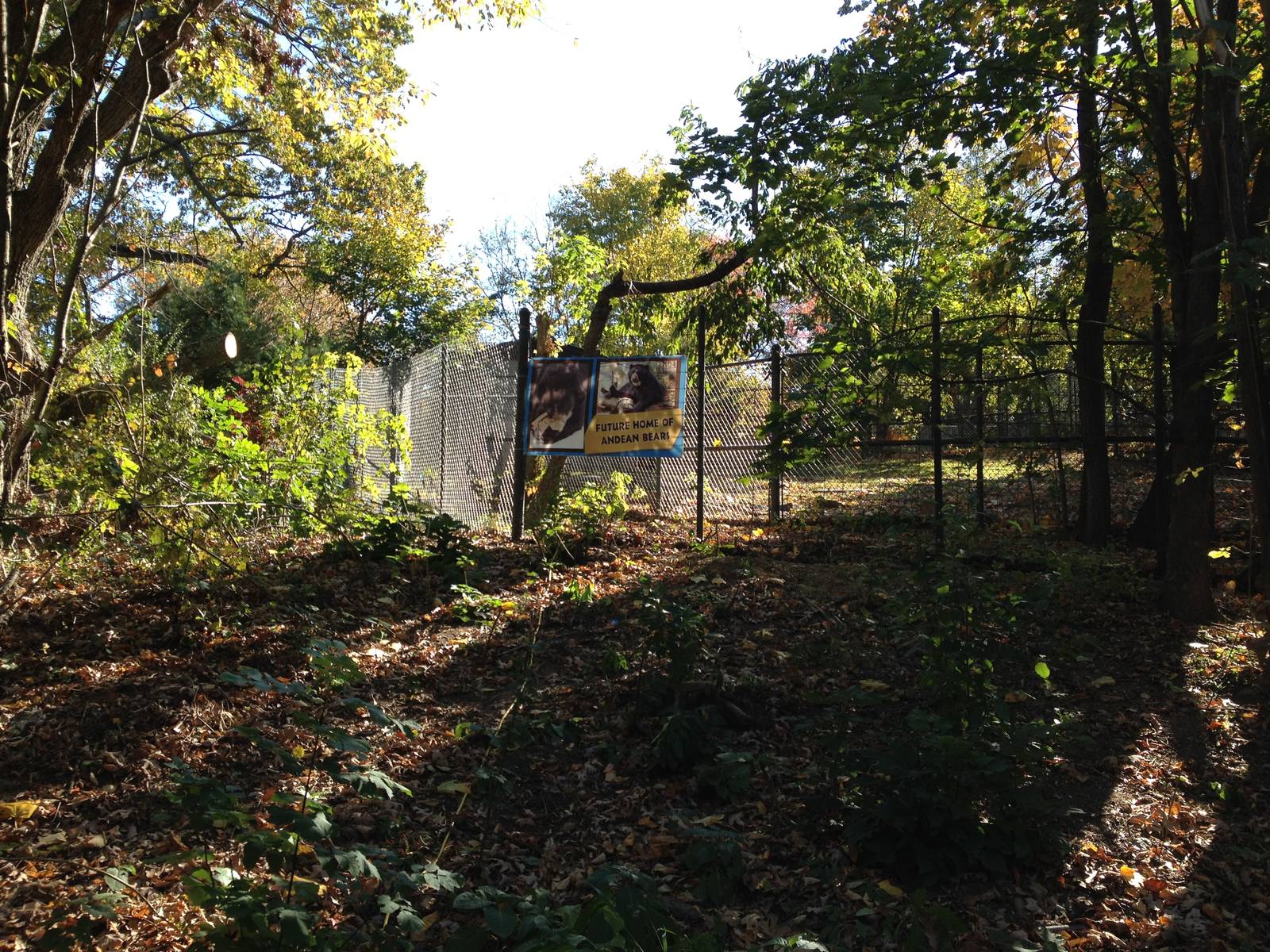 Future Home of Andean Bears