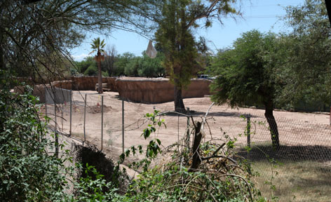 future hoofstock addition?