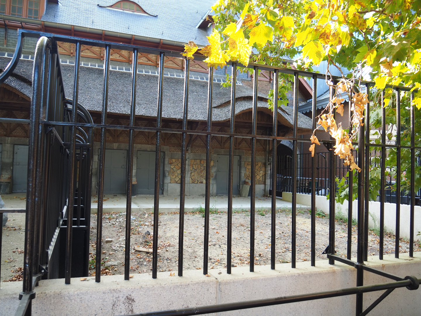 Future hoofstock/ostrich separation paddock next to the 1908-1909 bovine house, 2020-09-20