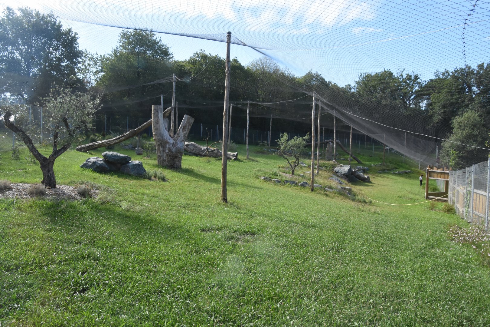 Future Iberian Lynx enclosure