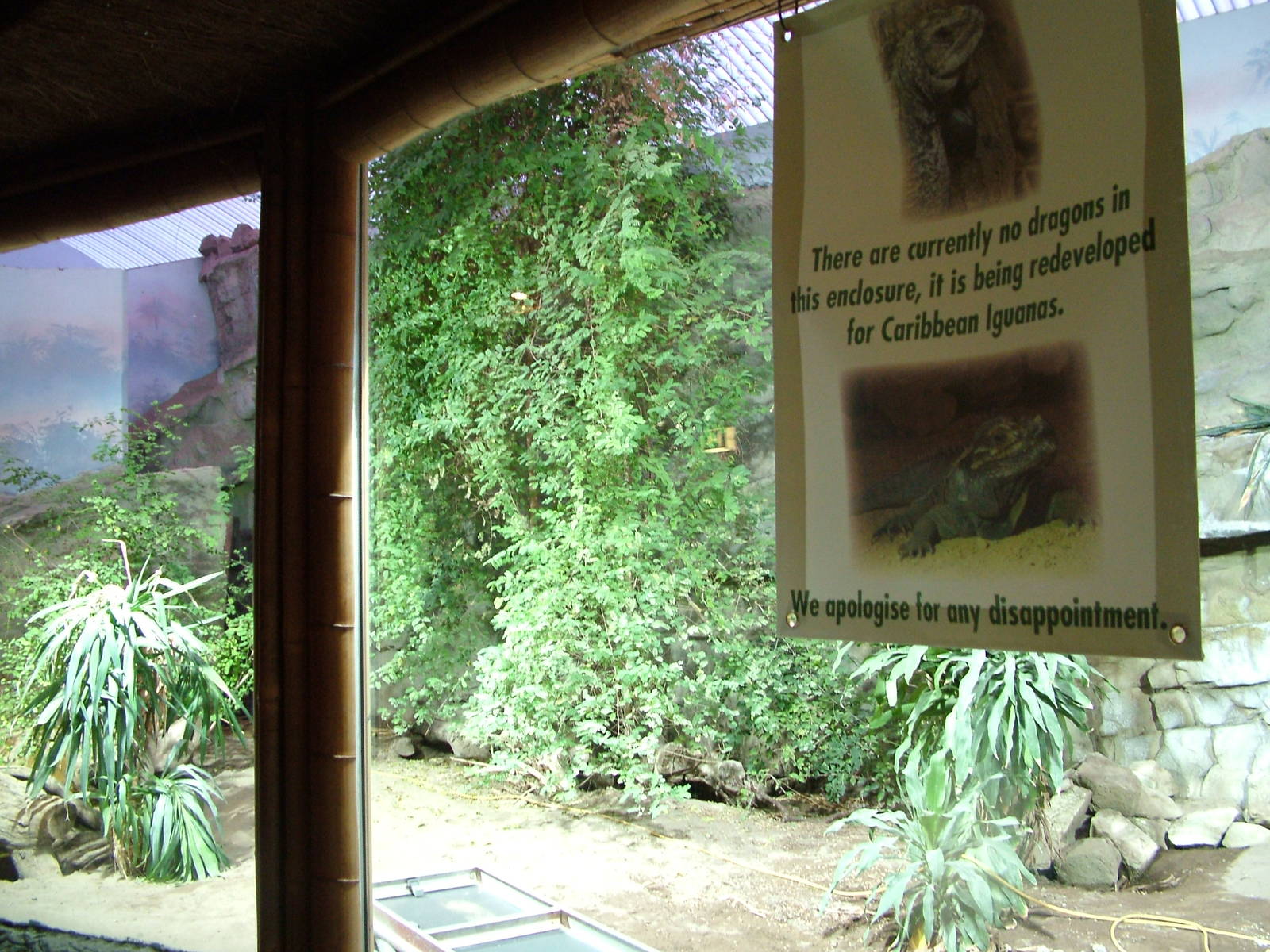 Future Iguana exhibits at Chester 06/12/09