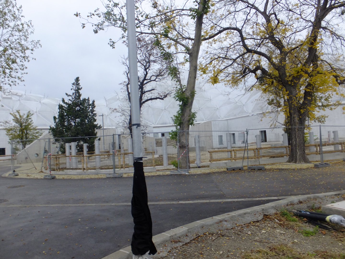 Future Indian rhino enclosure (Pannonia Park)