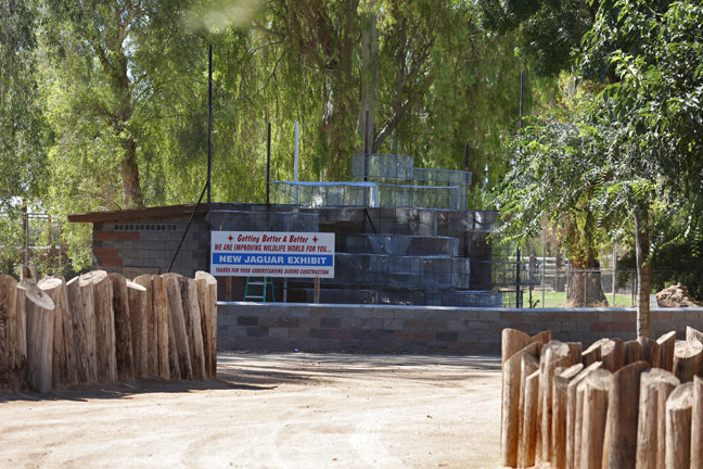 future jaguar exhibit