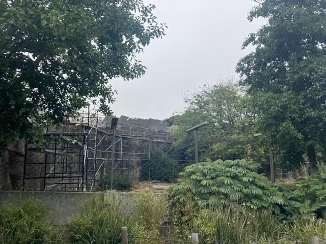 future Jaguar exhibit