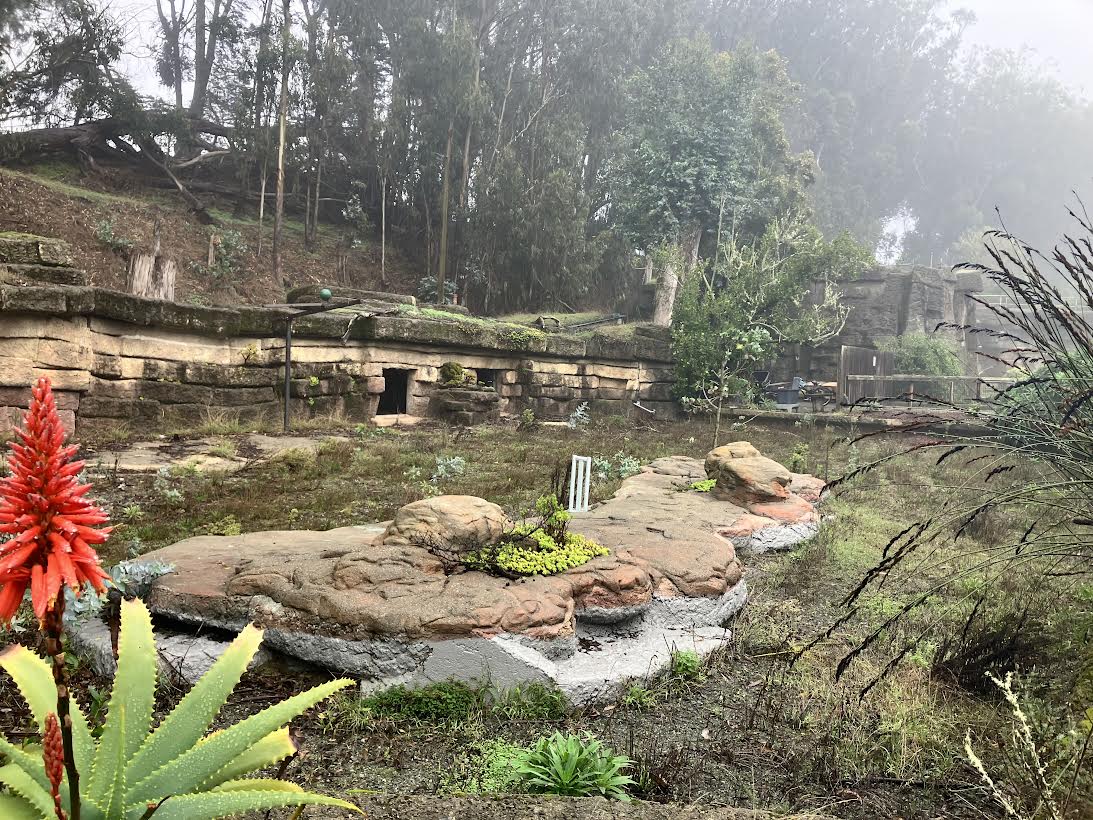 Future Jaguar exhibit