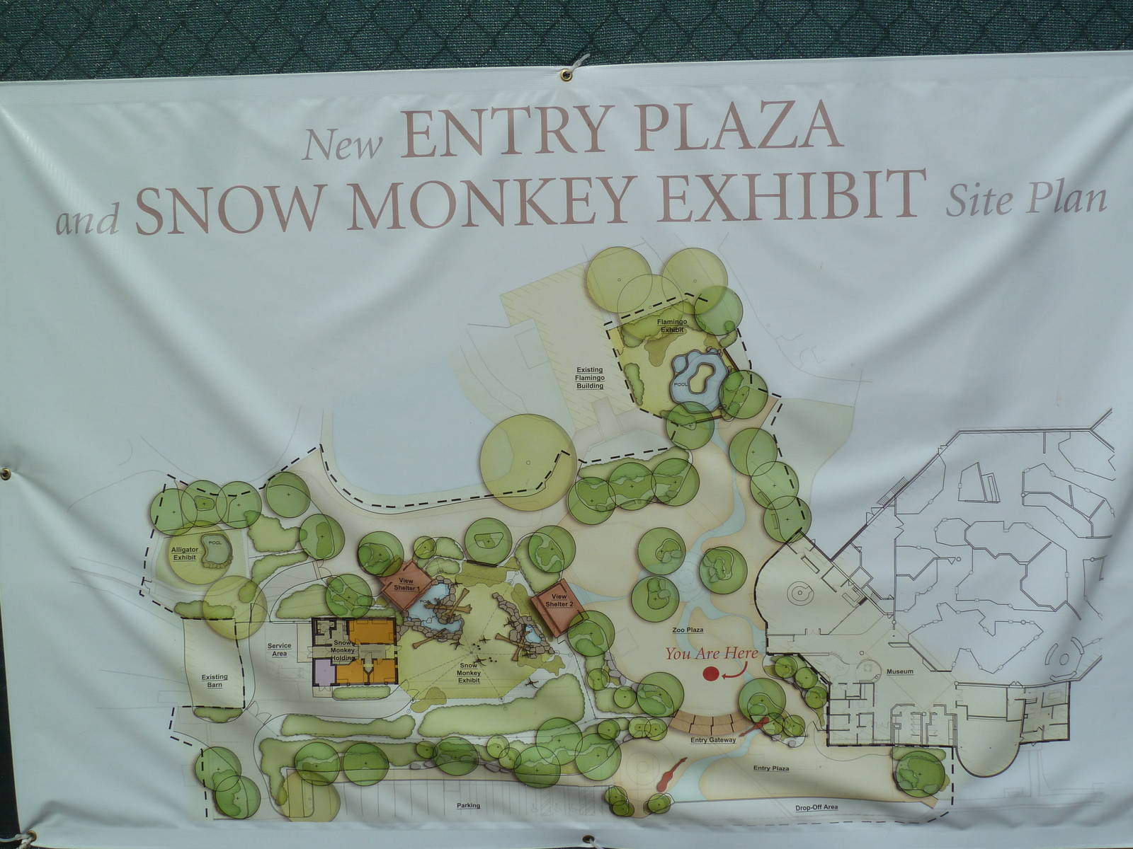 Future Japanese Macaque Exhibit