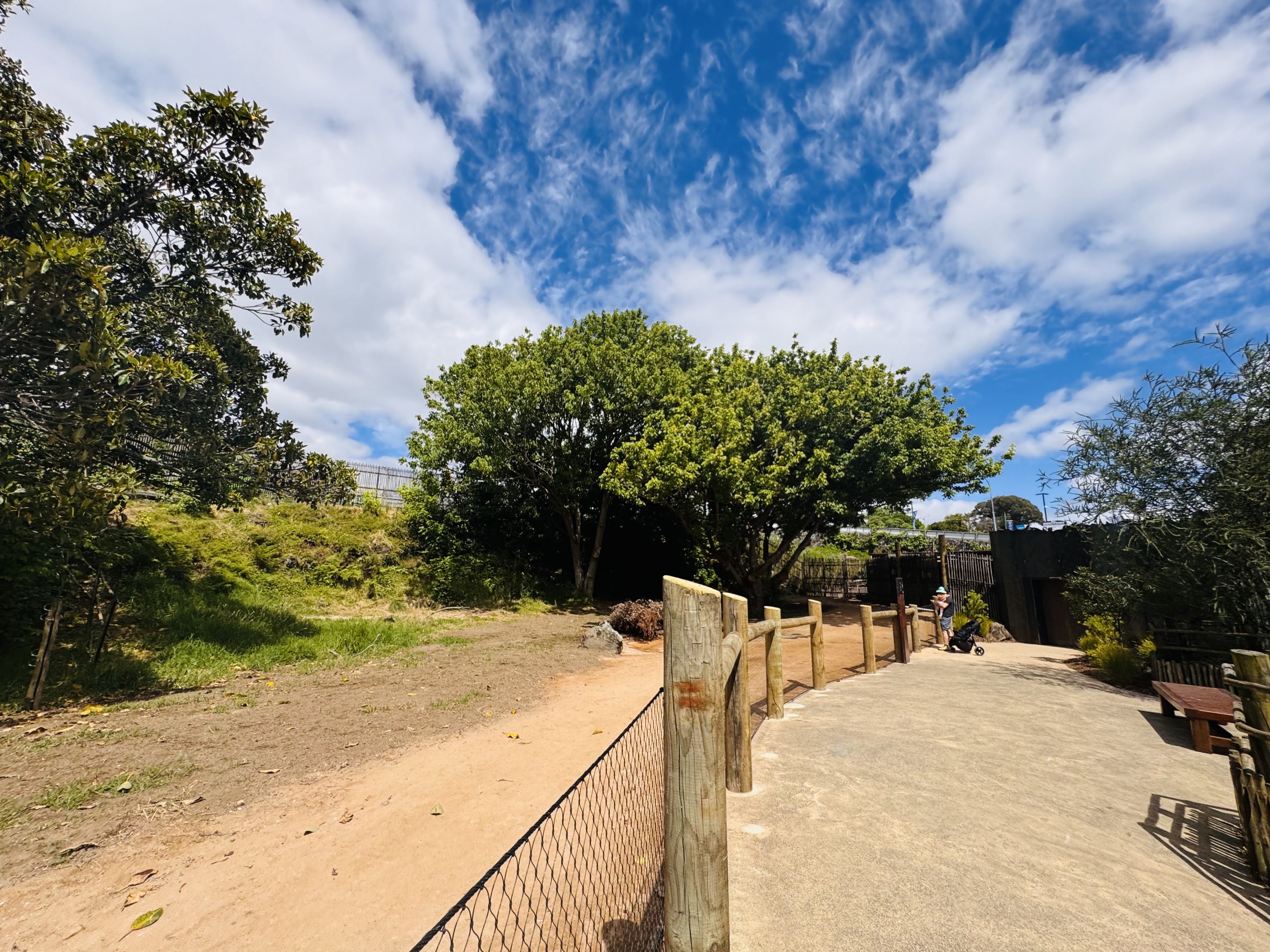 Future kangaroo enclosure