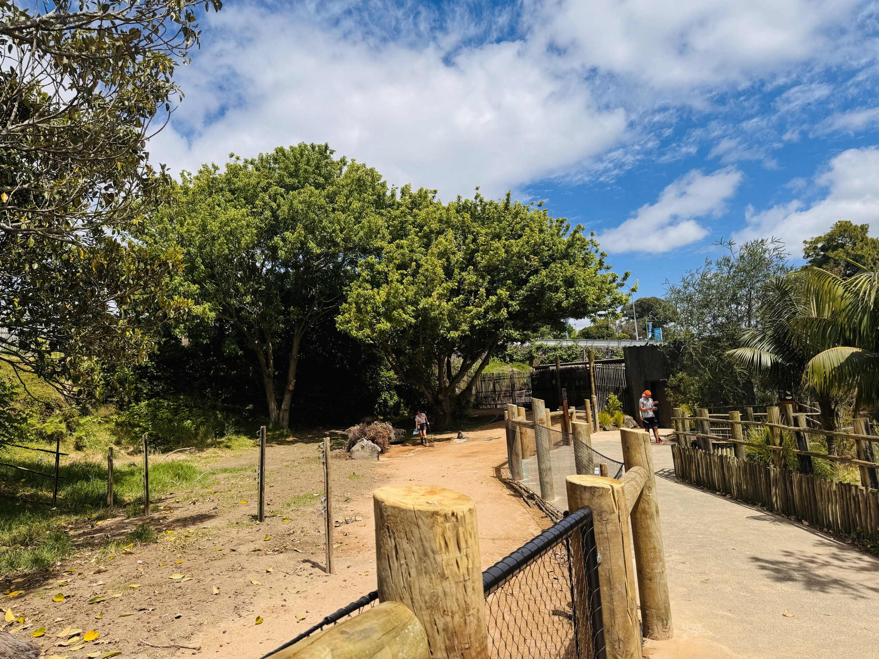 Future kangaroo enclosure