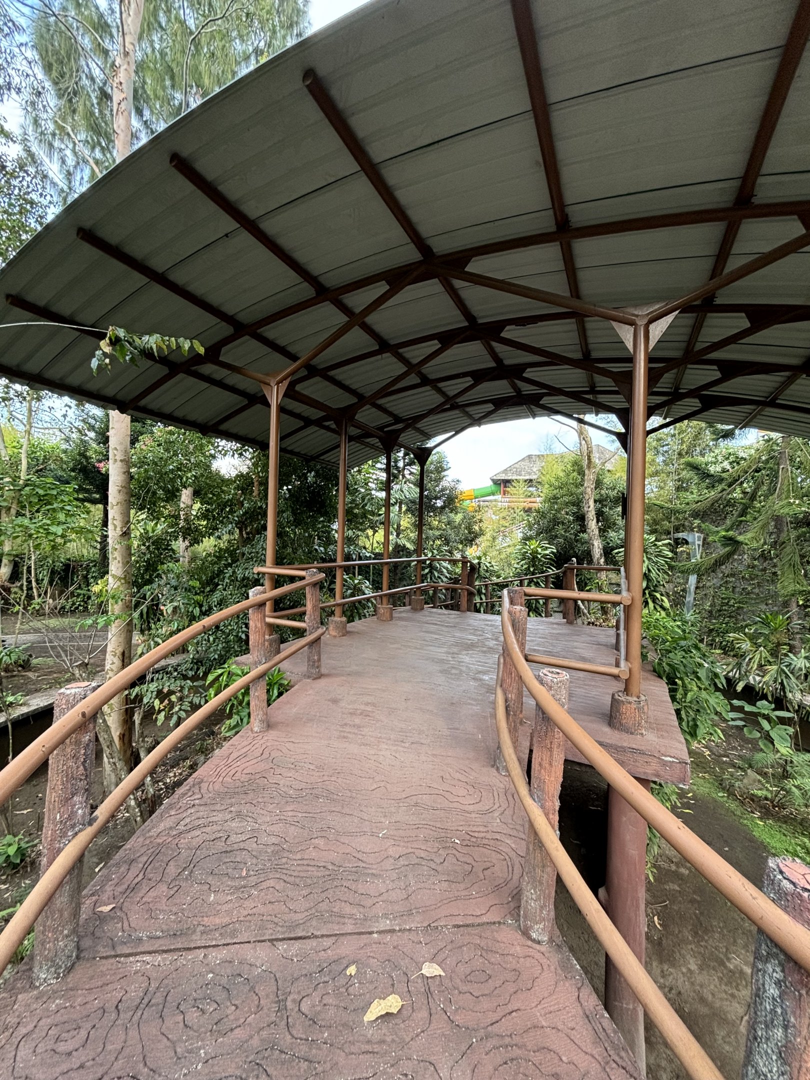 Future Koala Viewing Deck