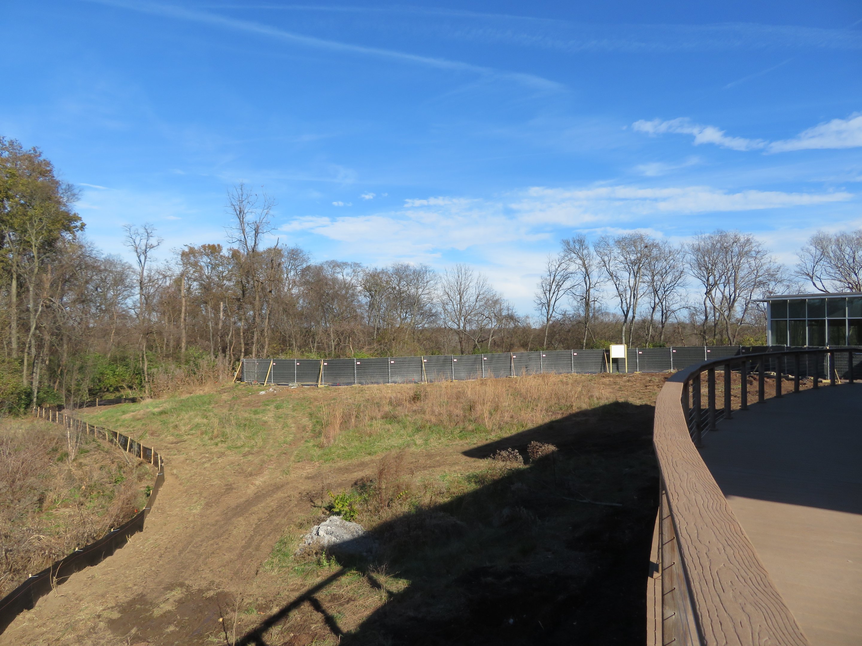 Future Komodo Dragon Area