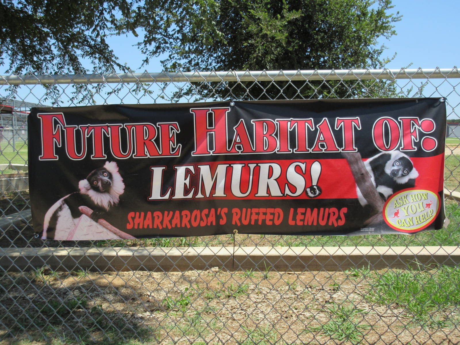 Future Lemur Exhibit - Sign