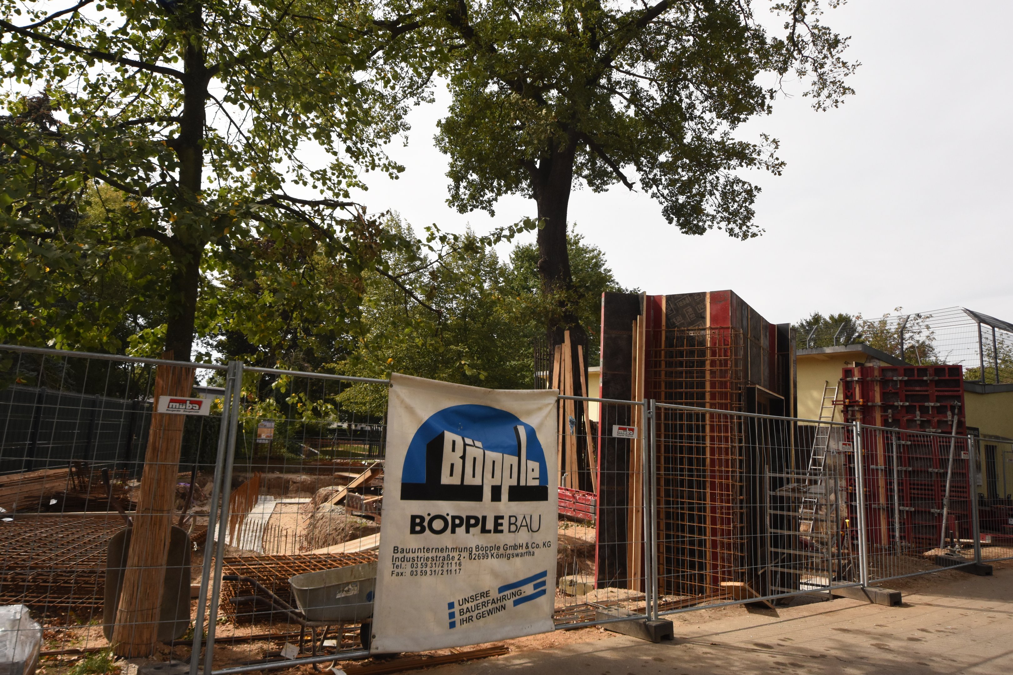 Future leopard enclosure