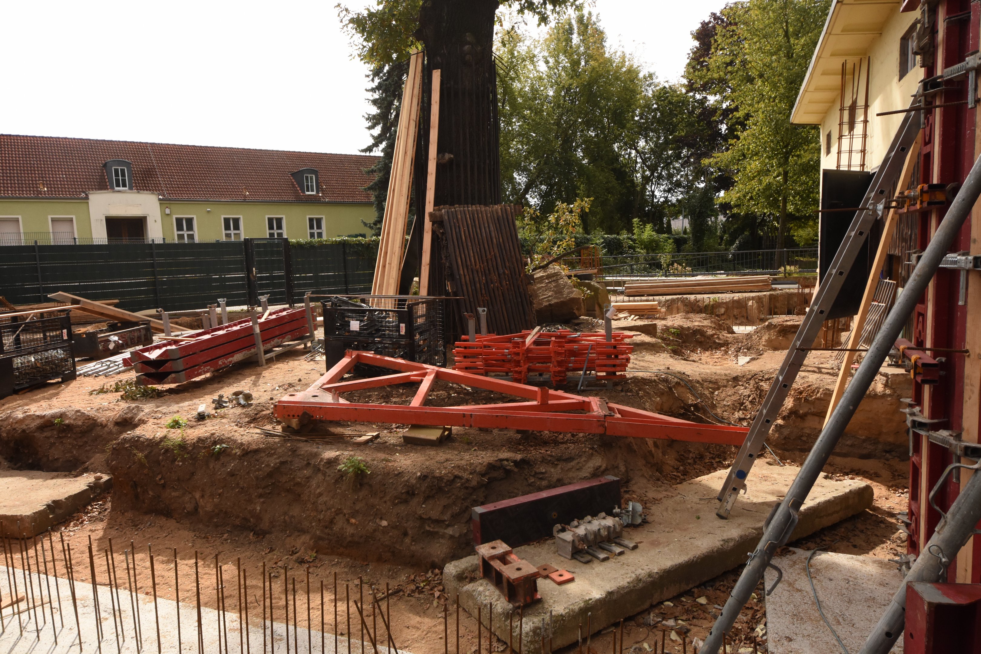 Future leopard enclosure