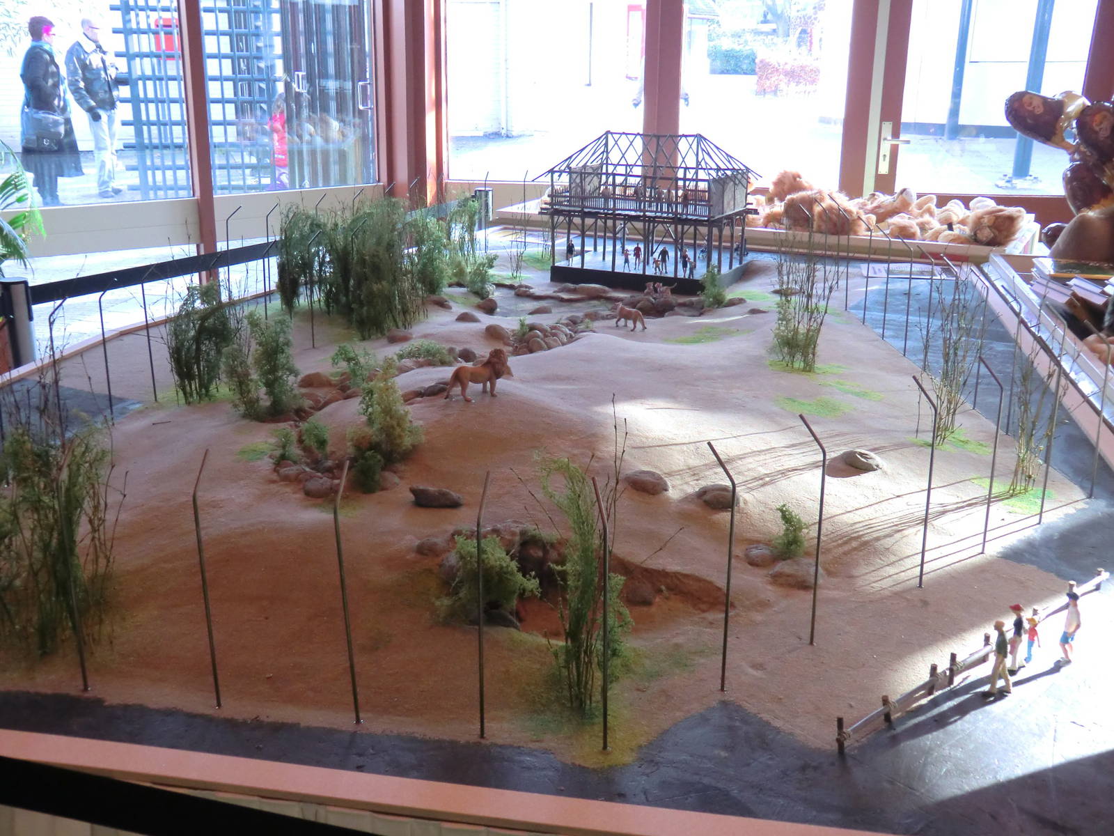 Future Lion Enclosure