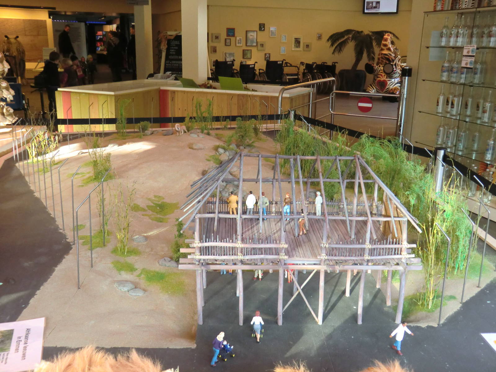 Future Lion Enclosure