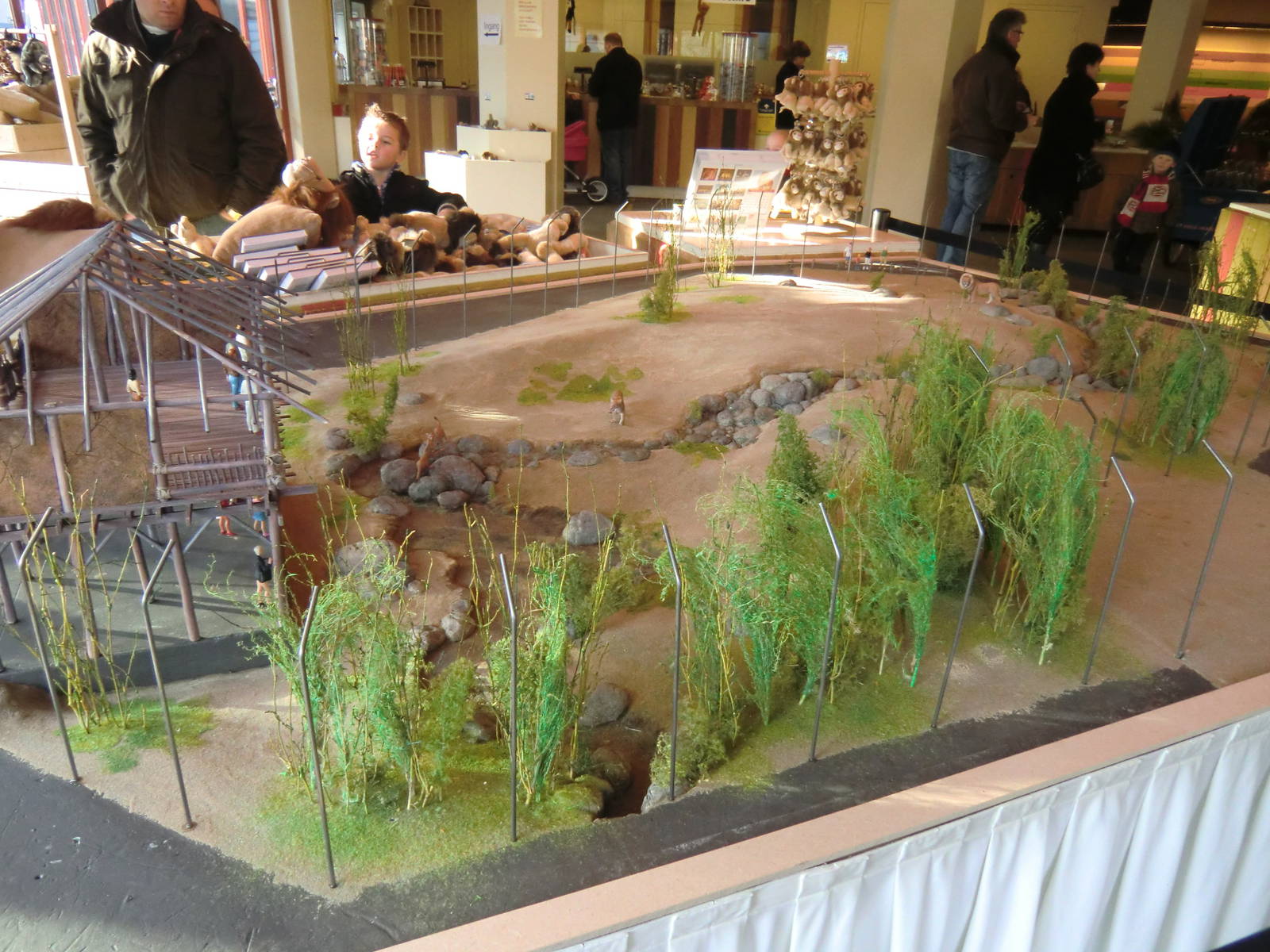 Future Lion Enclosure