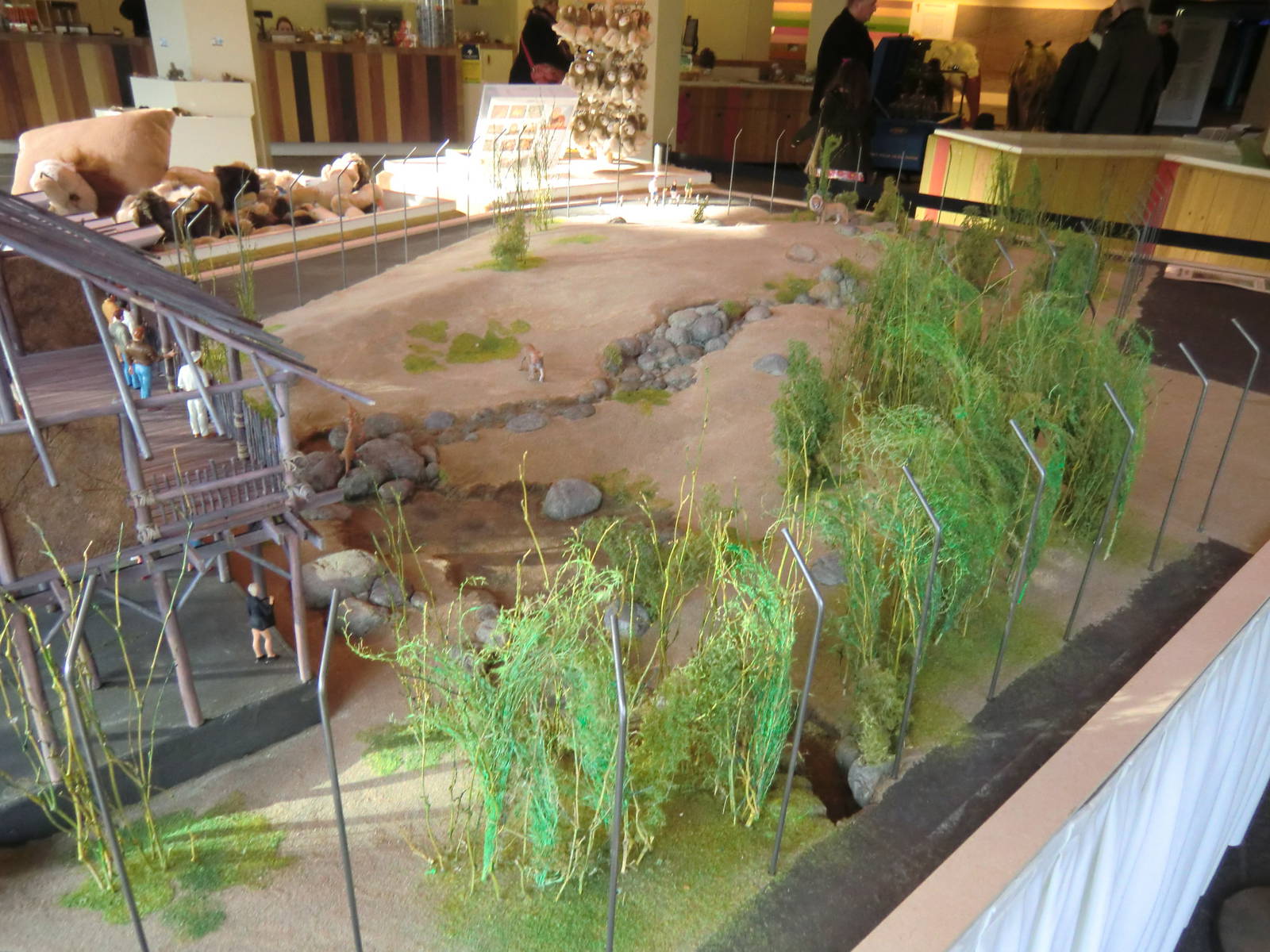 Future Lion Enclosure