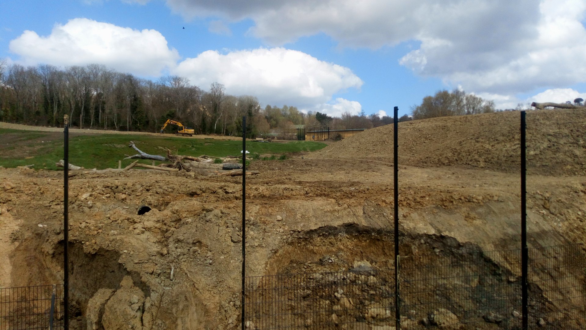 Future lion enclosure