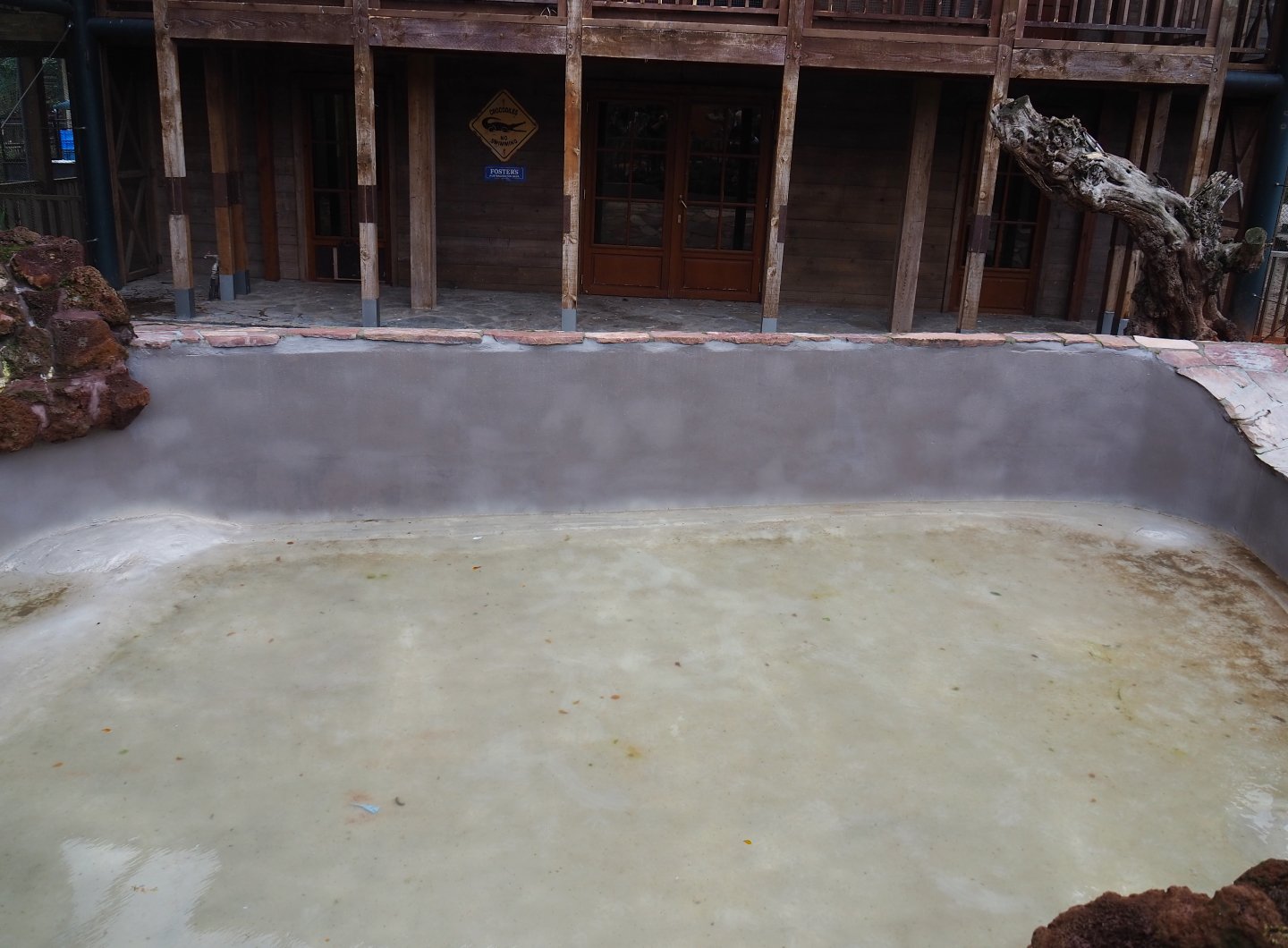 Future little blue penguin pool, 2019-10-04