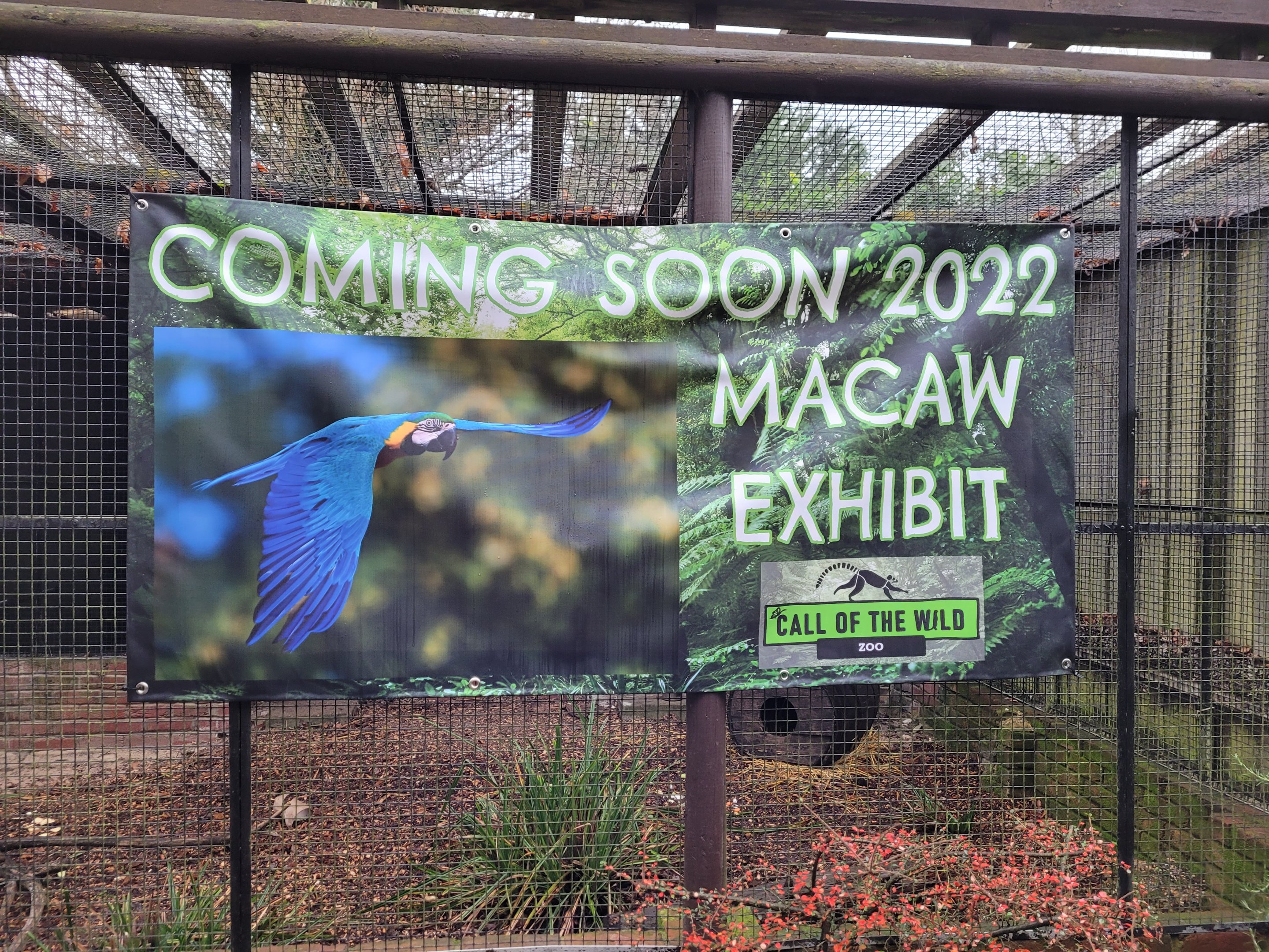 Future Macaw Exhibit