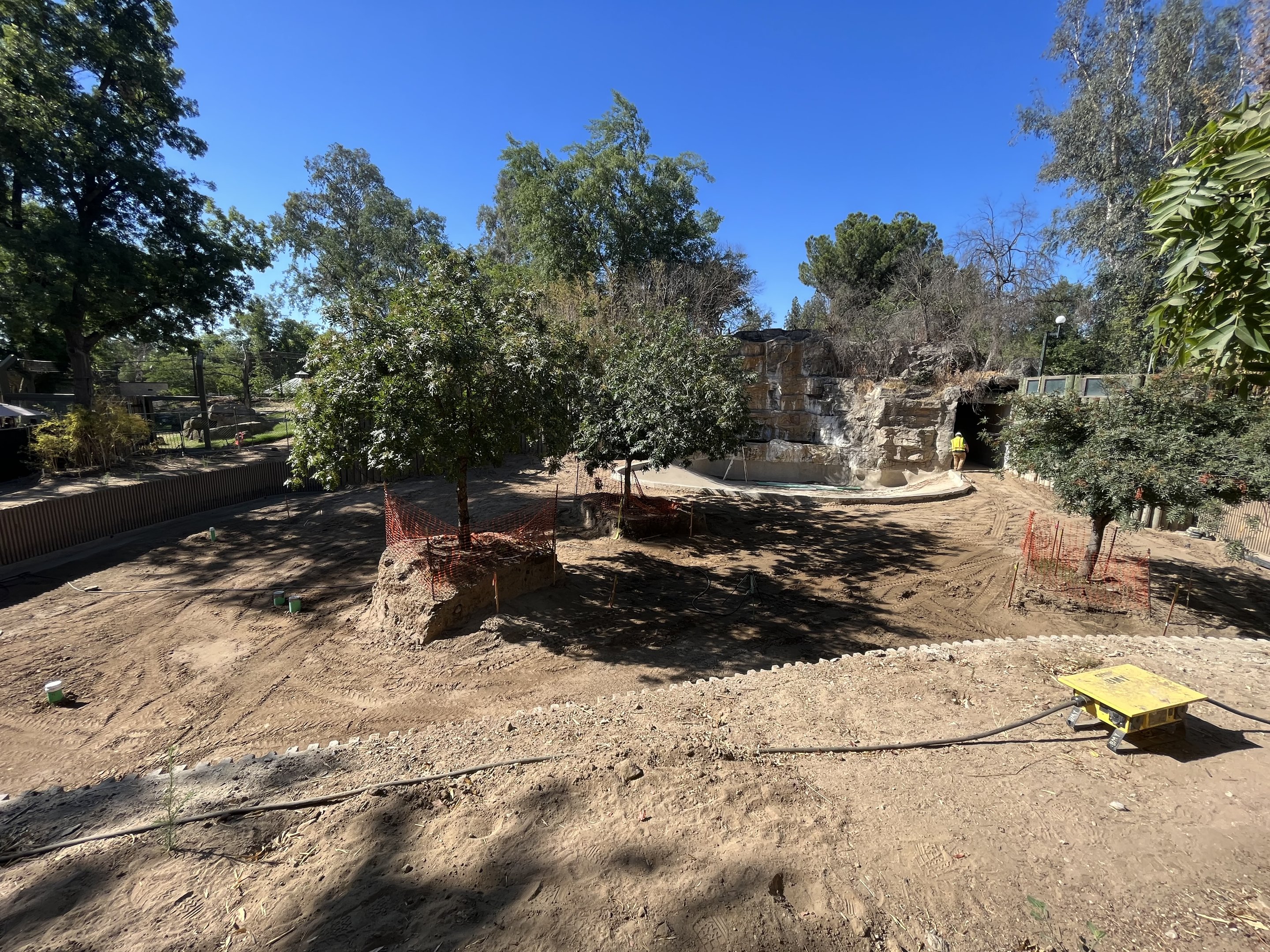 Future Malayan Tapir/Babirusa Exhibit
