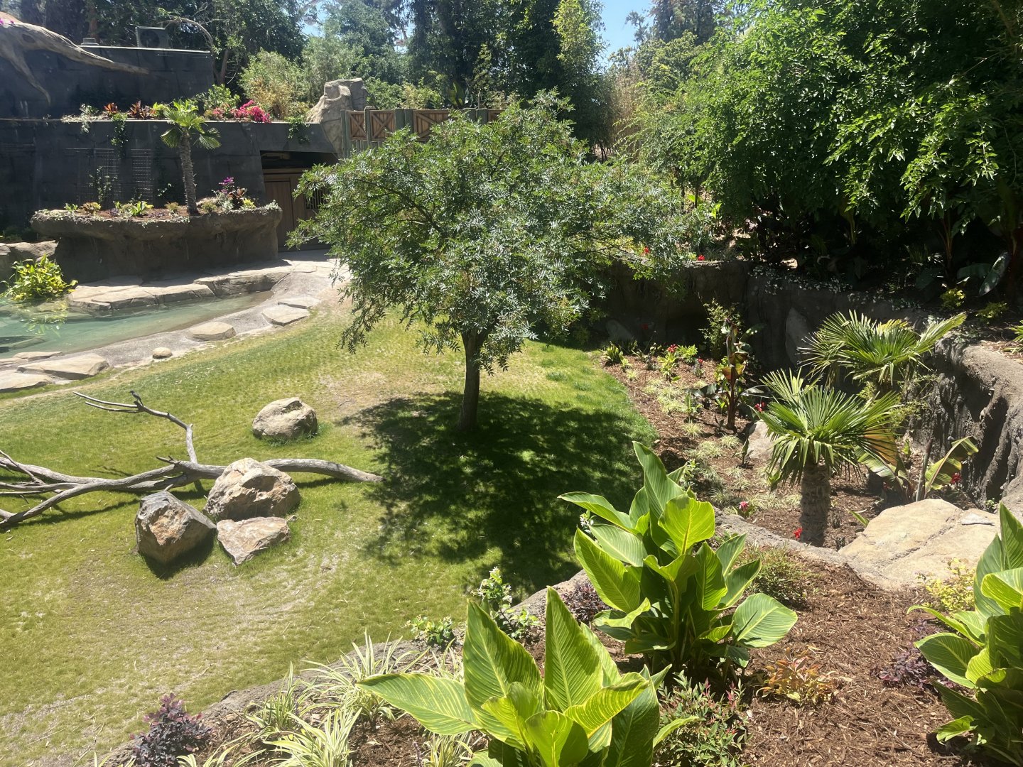 Future Malayan Tapir/Baribusa exhibit