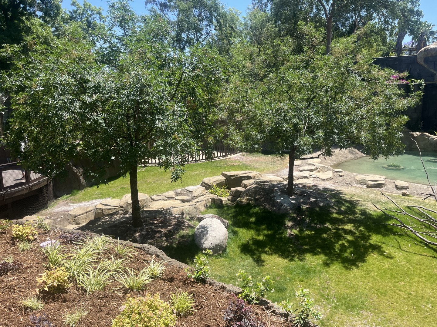 Future Malayan Tapir/Baribusa exhibit