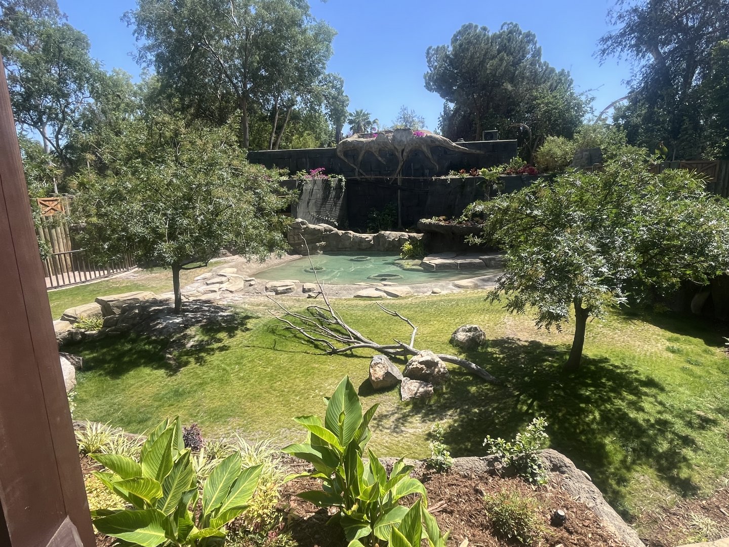 Future Malayan Tapir/Baribusa exhibit