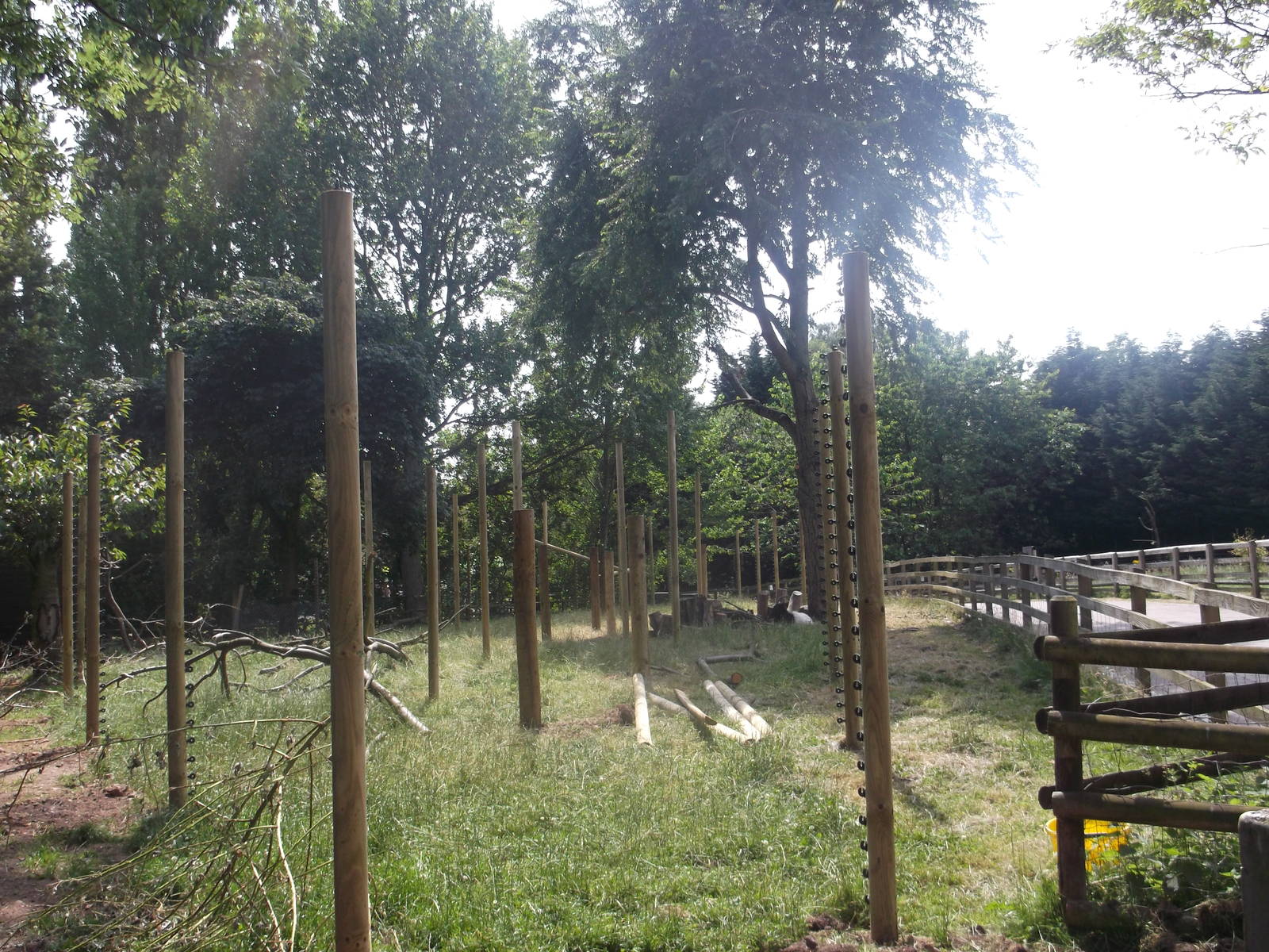 Future Monkey Enclosure