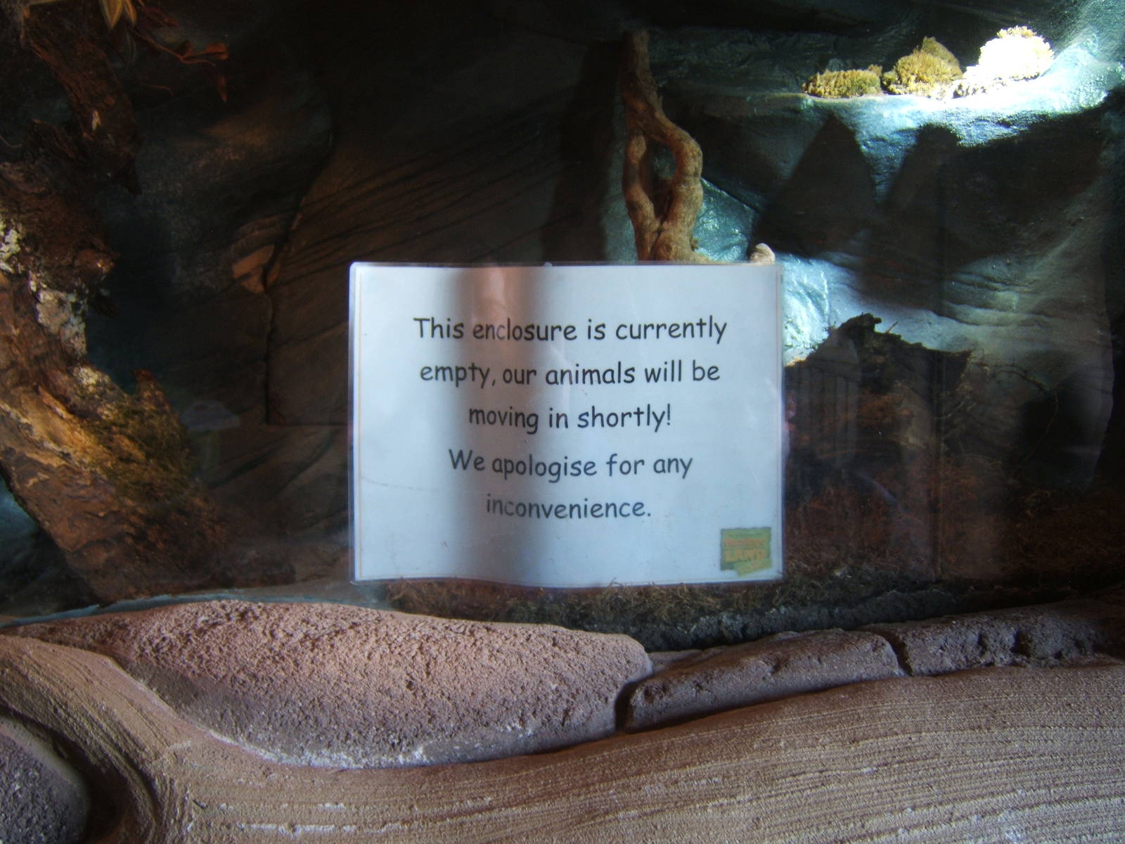 Future Mossy Frog exhibit