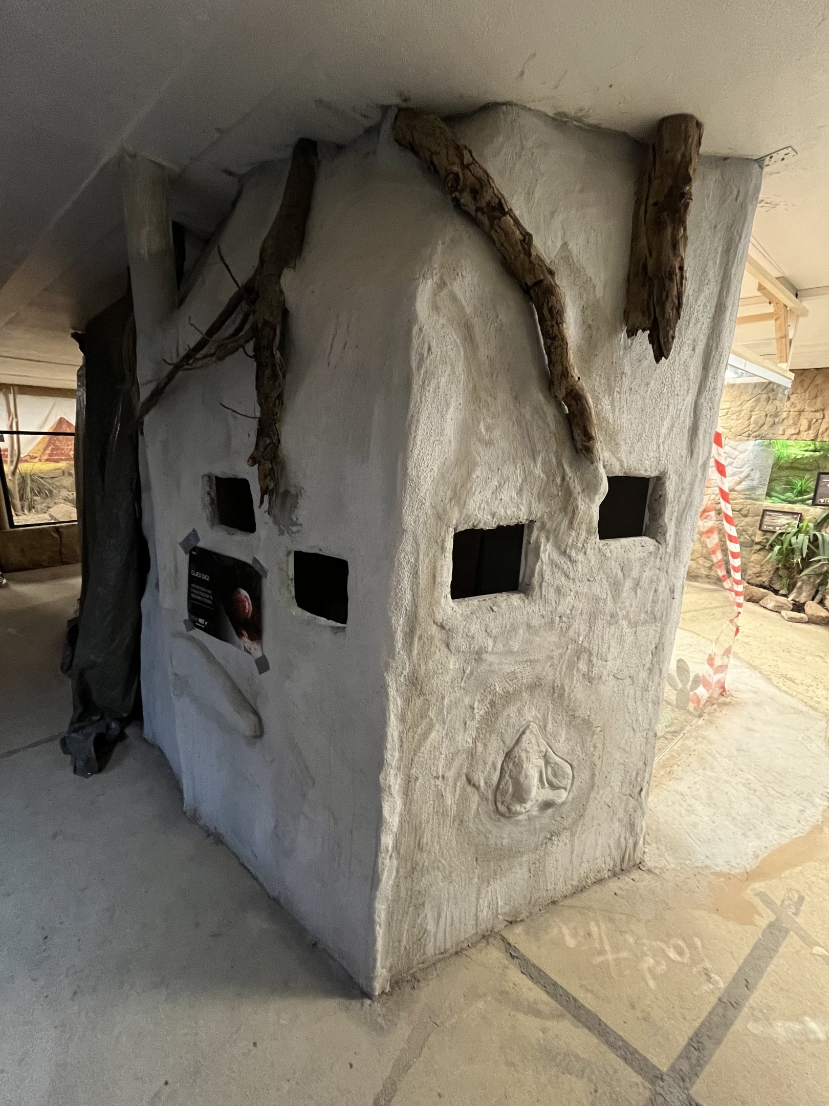 Future Naked Mole Rat Exhibit