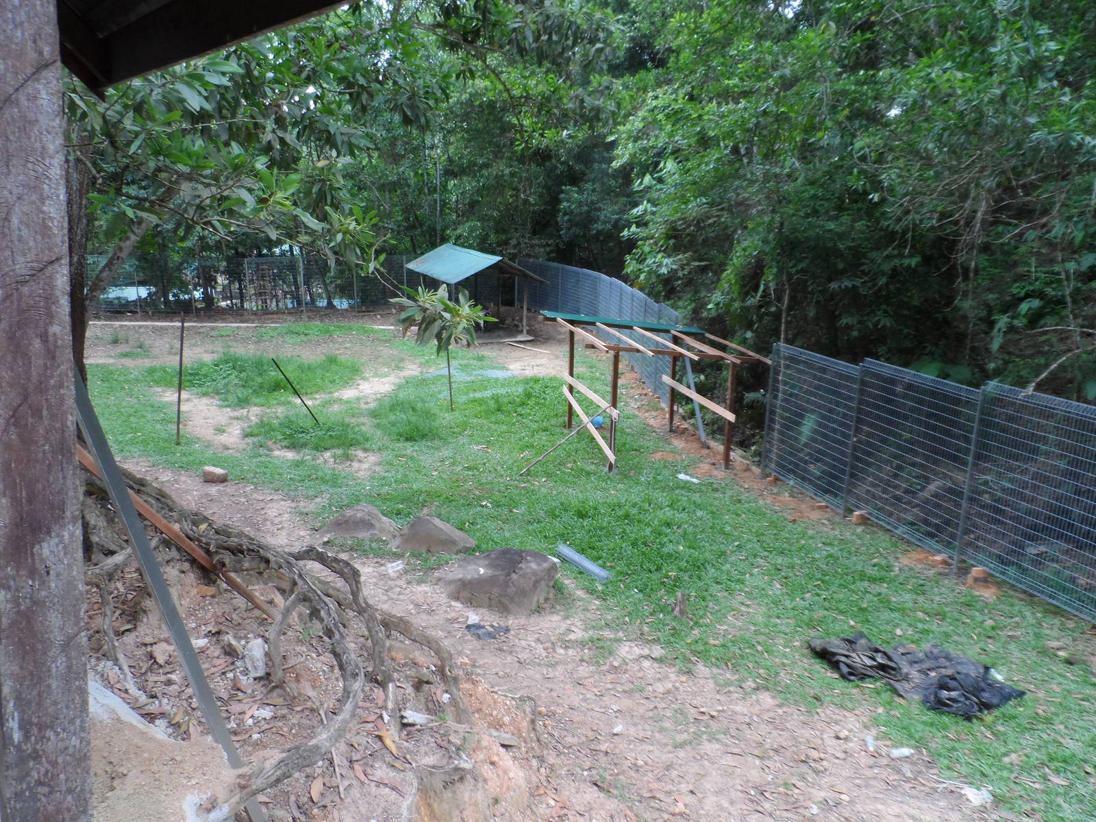 Future Nilgai Exhibit