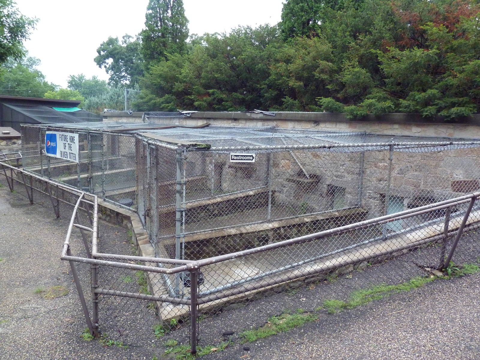 Future North American River Otter Exhibit