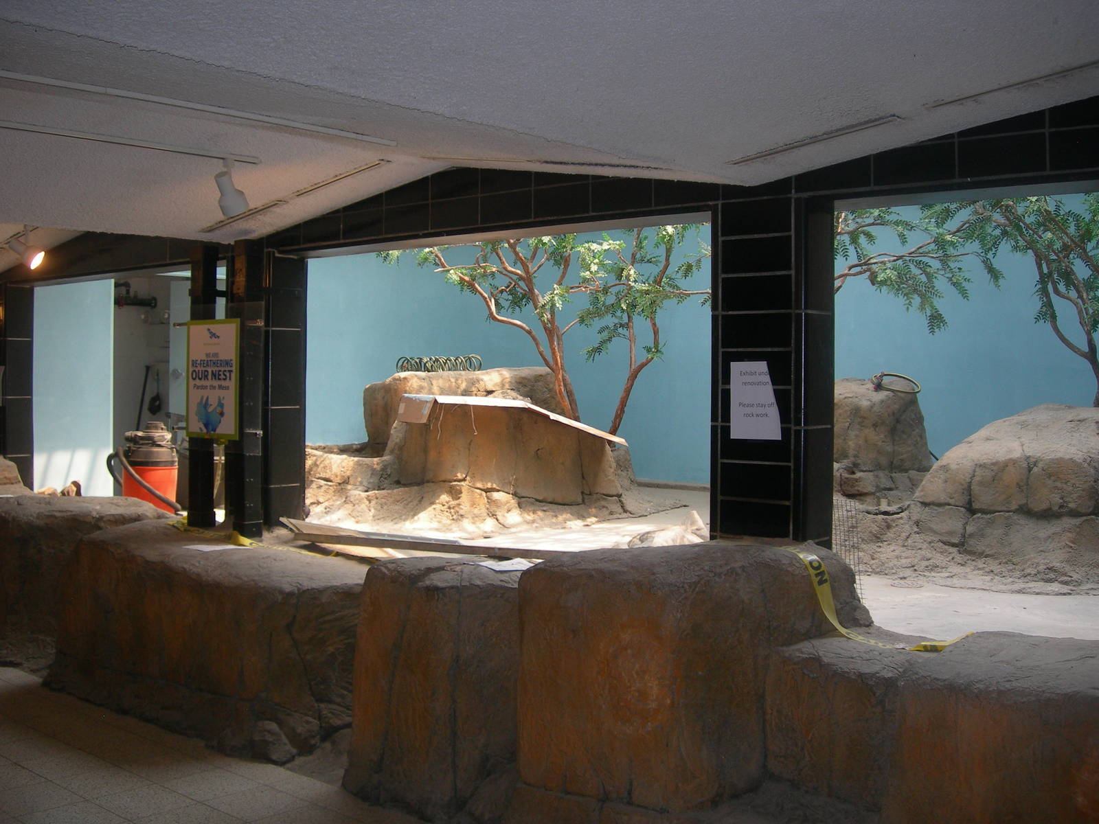 Future North Island Brown Kiwi Exhibit