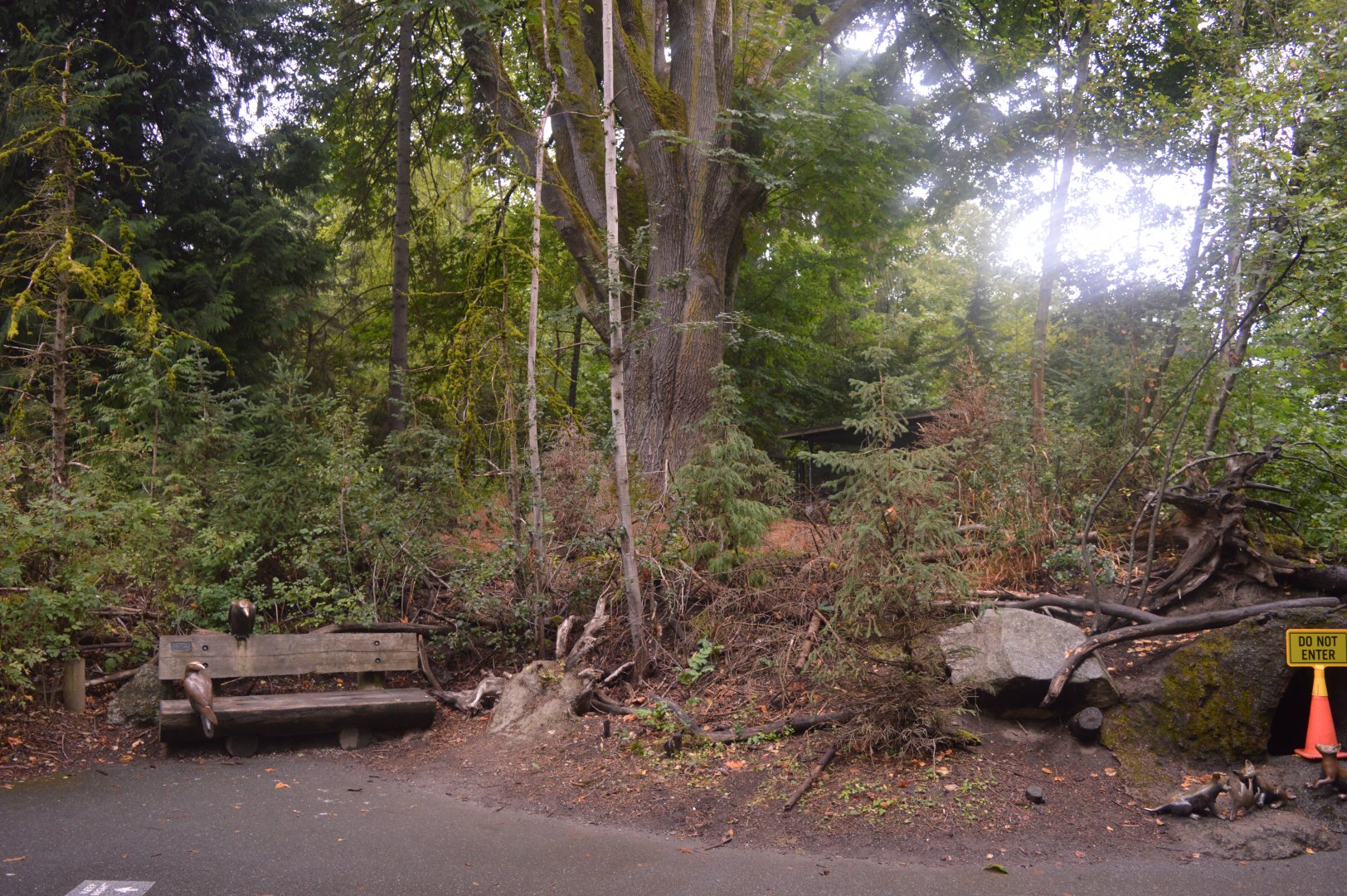 Future NW Development Area?