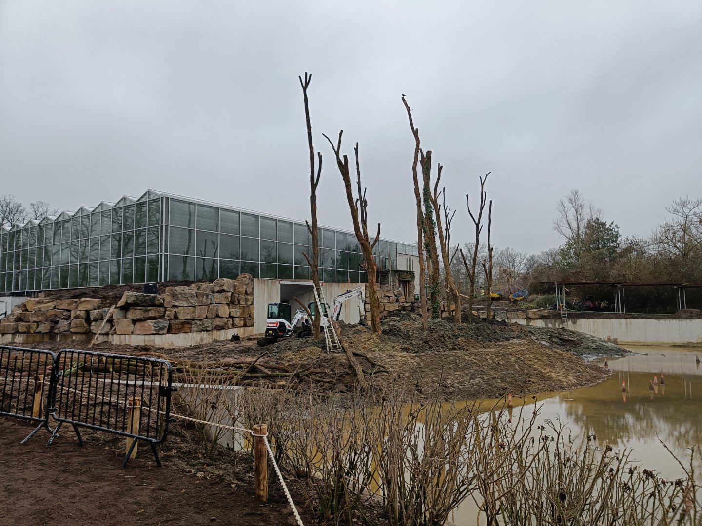 Future Orangutan enclosure