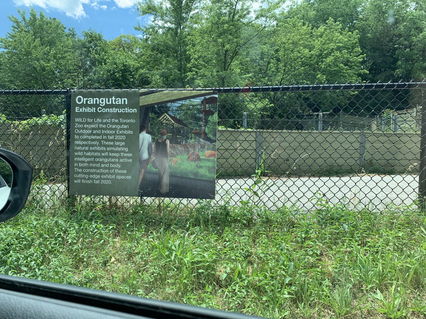 Future outdoor orangutan exhibit/former Guar exhibit area