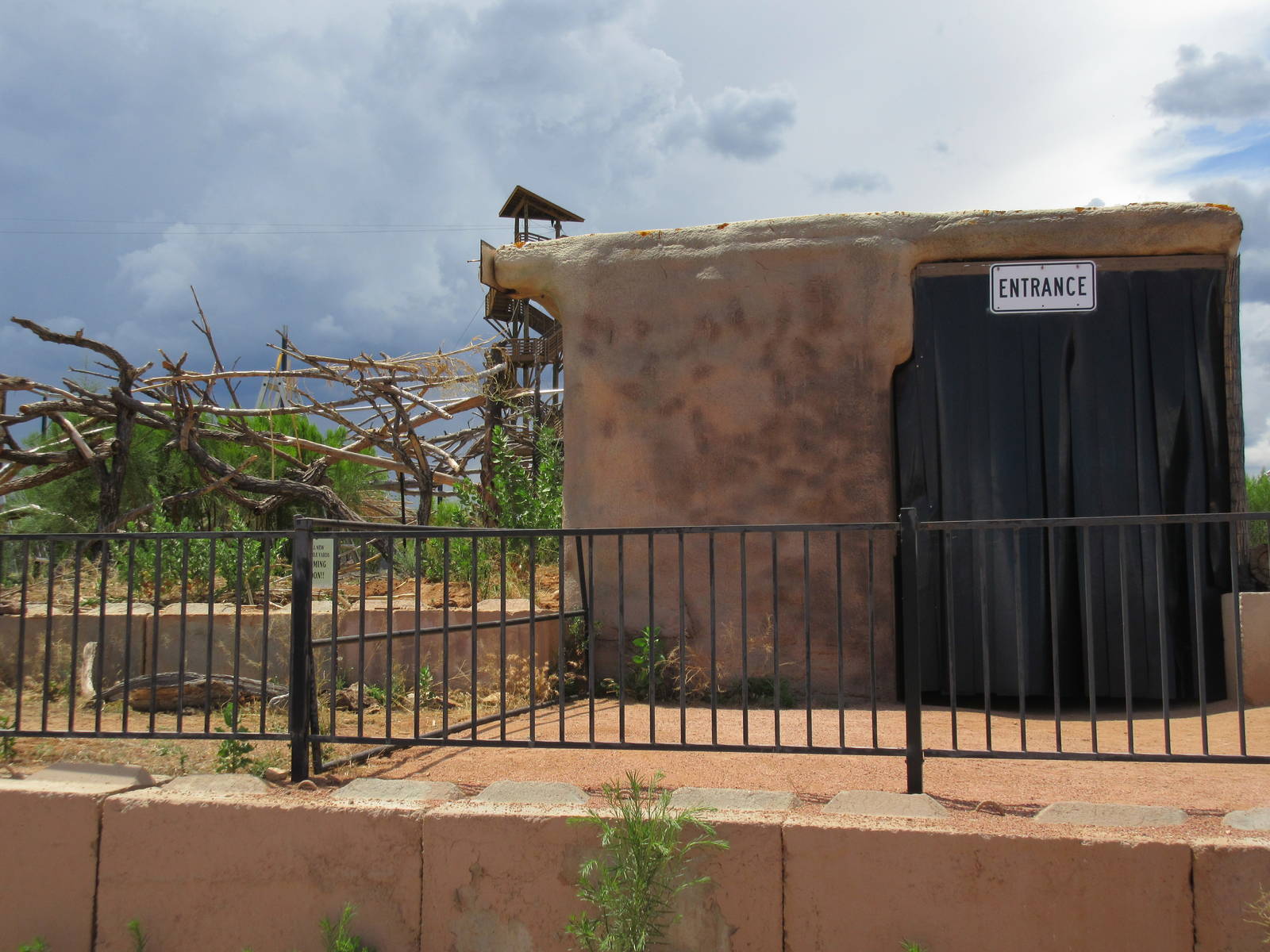 Future Outdoor Reptile Exhibit + Reptile House Entrance