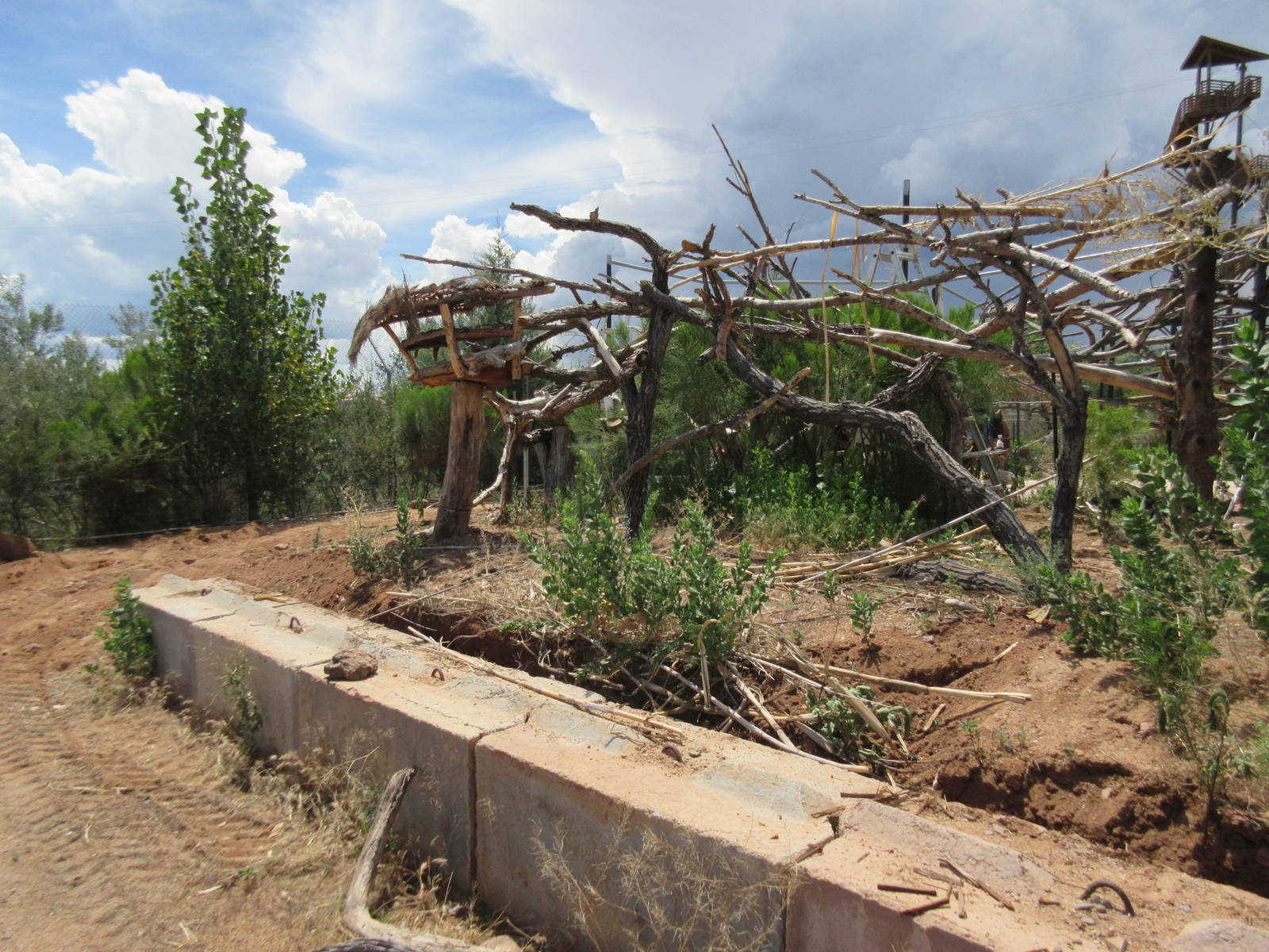 Future Outdoor Reptile Exhibit