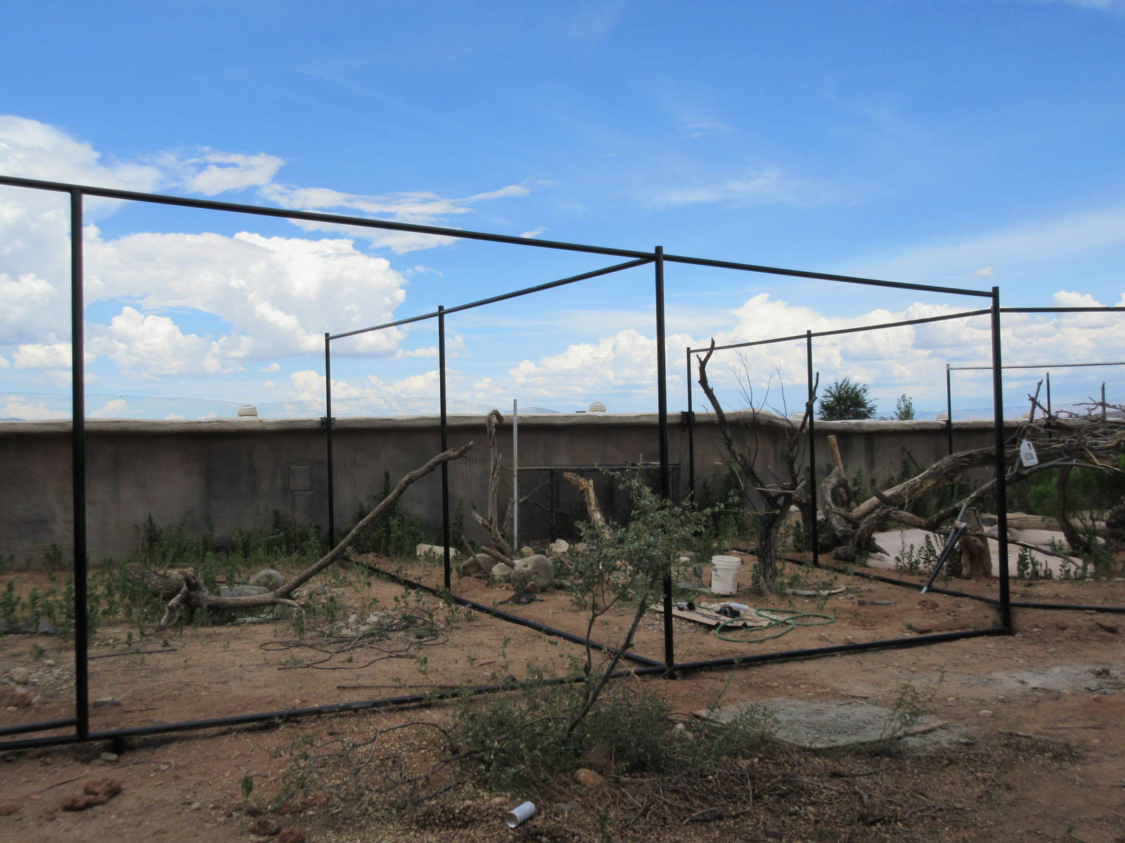 Future Outdoor Reptile Exhibits