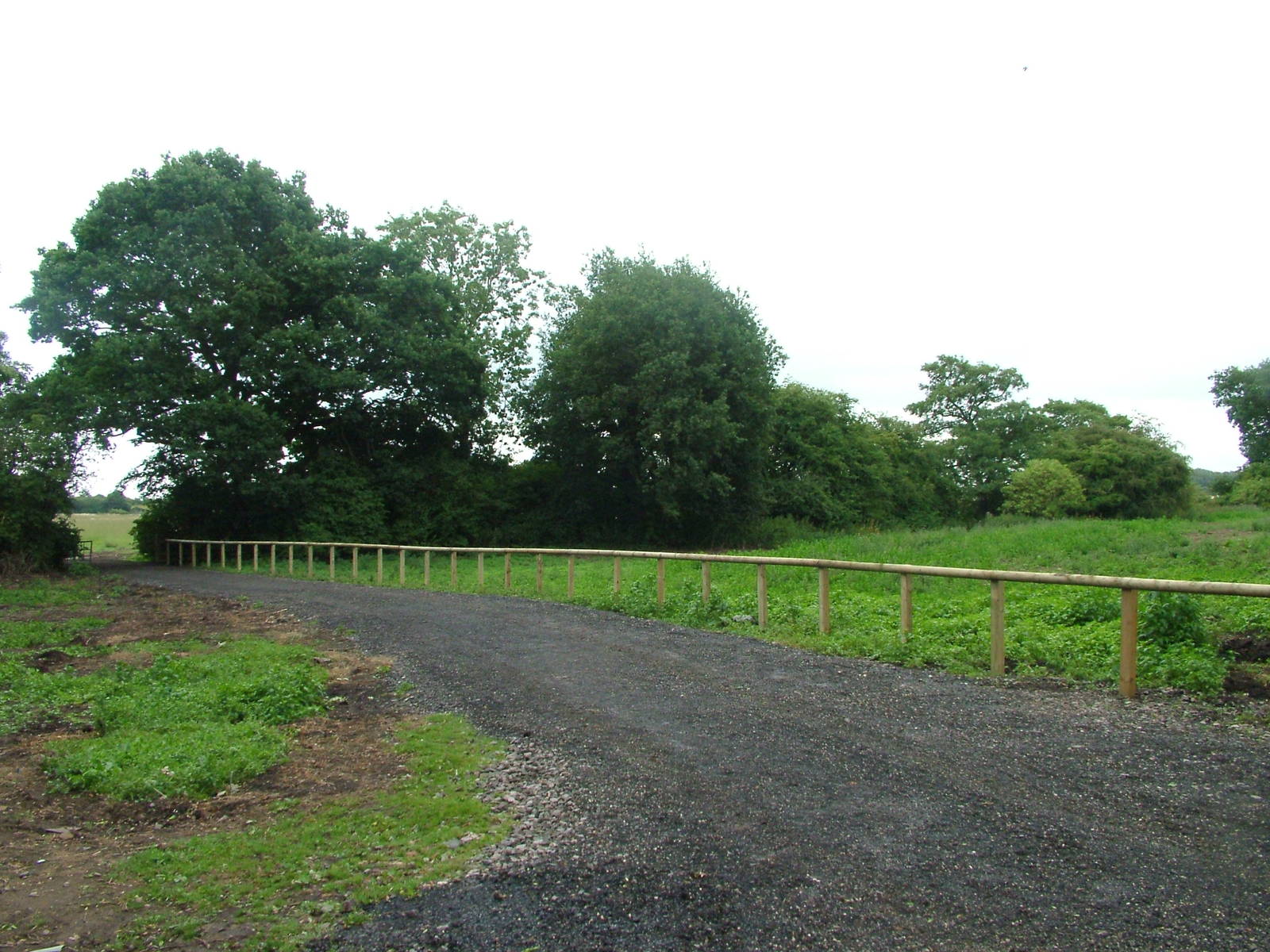 Future Paddock at Yorkshire WP, 18/07/10